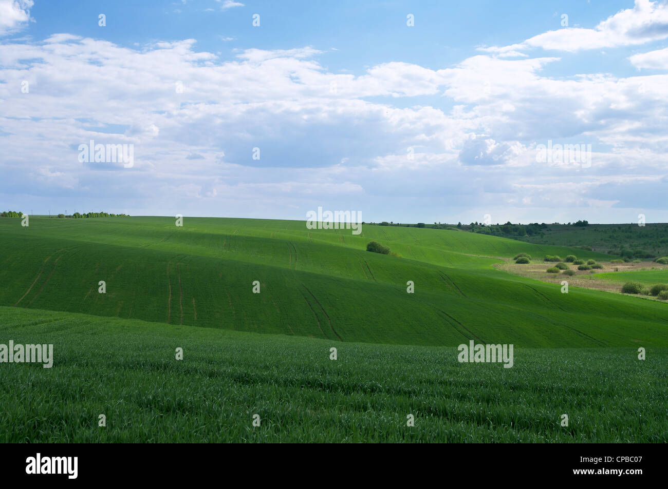 Green agricultural field with cloudy sky Stock Photo - Alamy