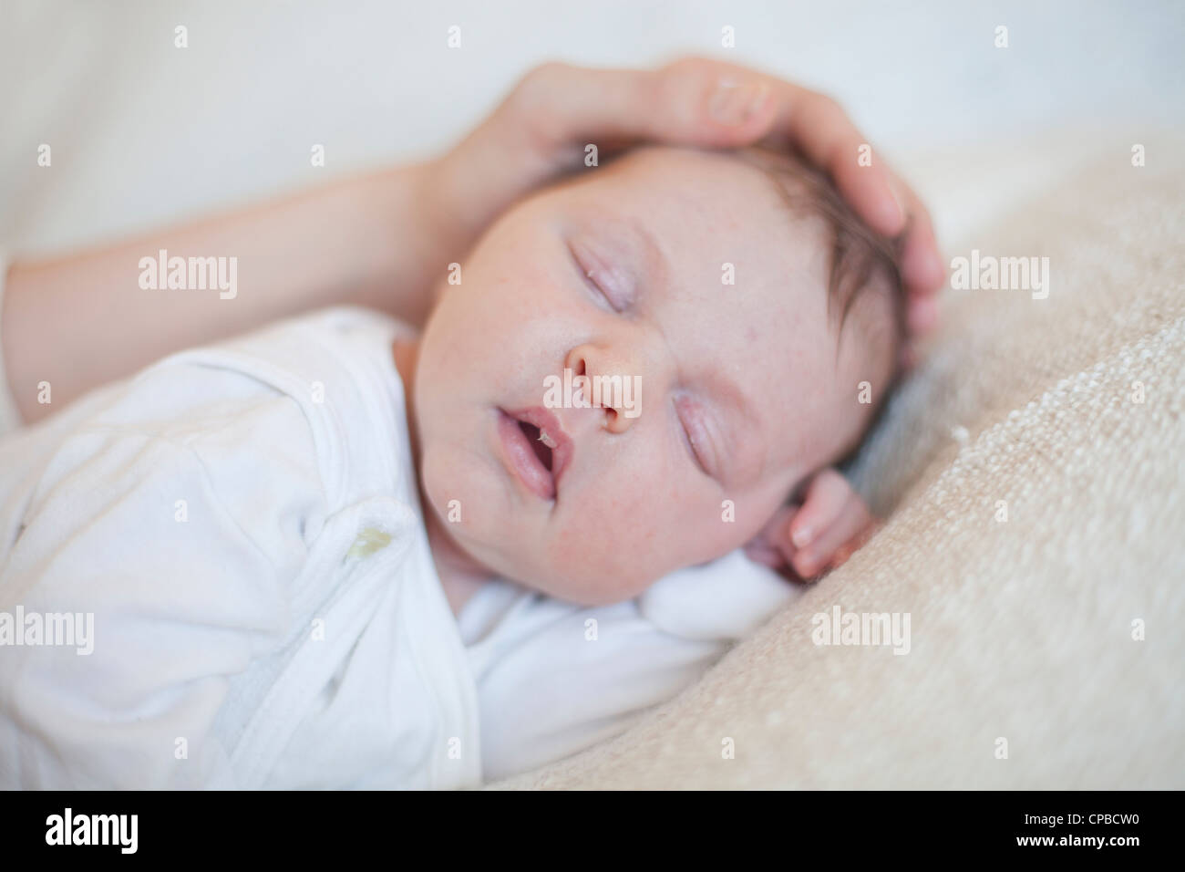 Portrait of a cute newborn baby girl sleeping Stock Photo - Alamy