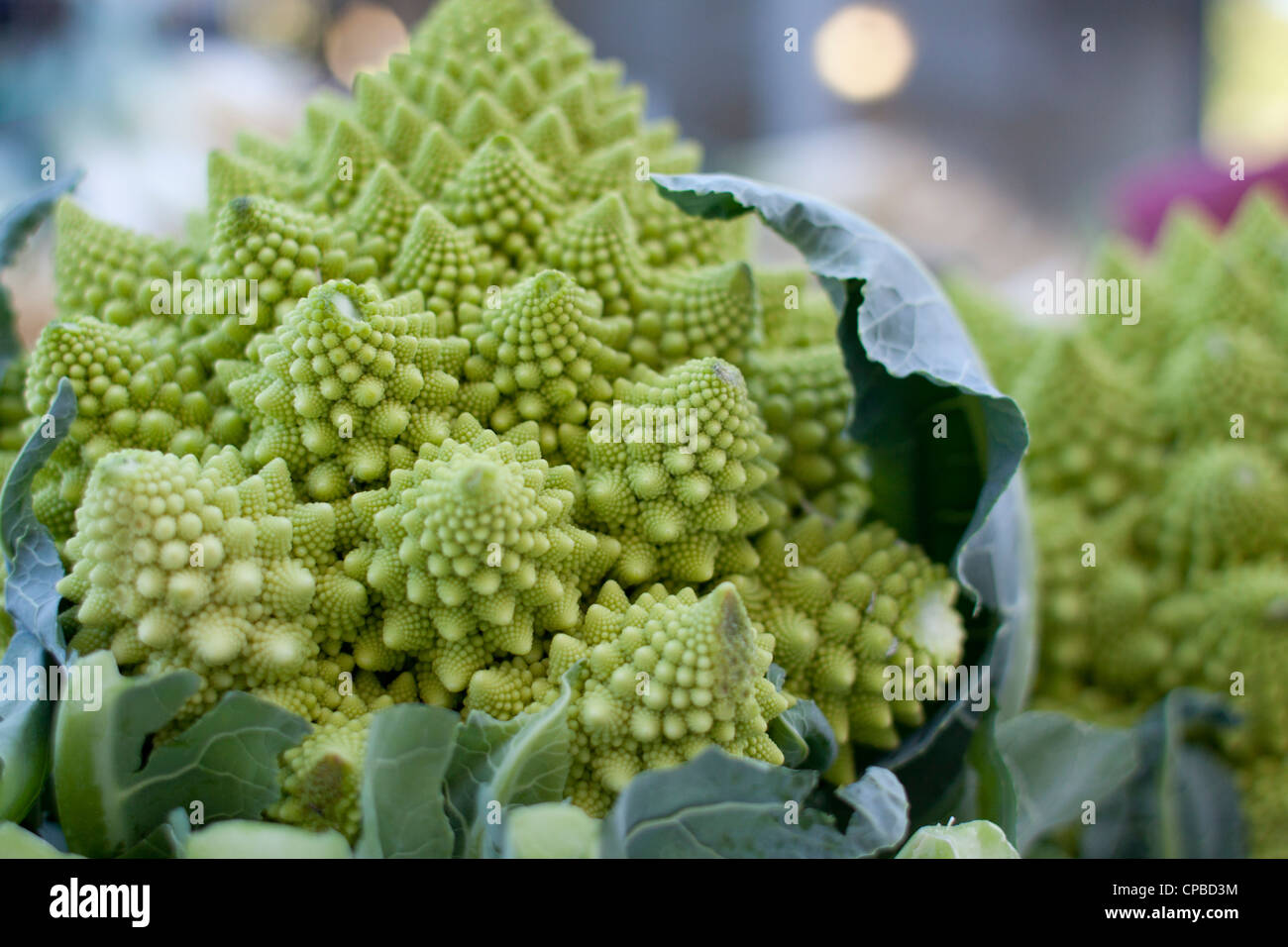 Farm fresh Romanesco broccoli, a variant of cauliflower aka broccoflower, on display at a farmer's market in Javea, Spain. Stock Photo