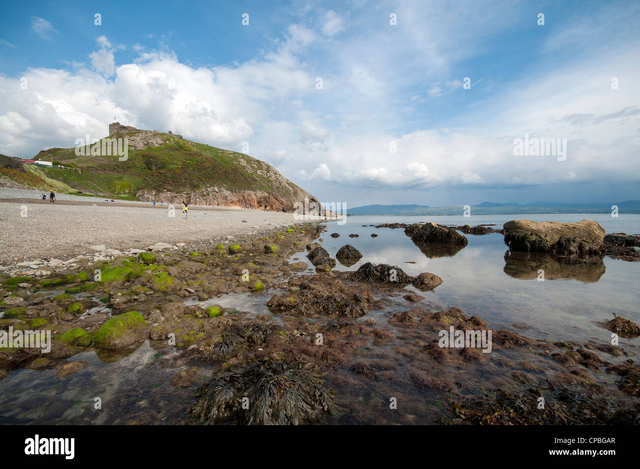 Criccieth Castle and rockpools on Criccieth seafront in North Wales