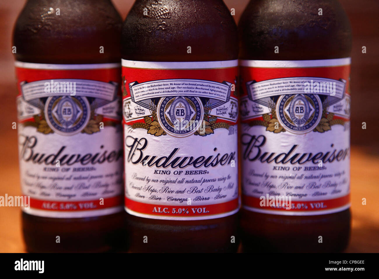 Budweiser beer bottles. Stock Photo