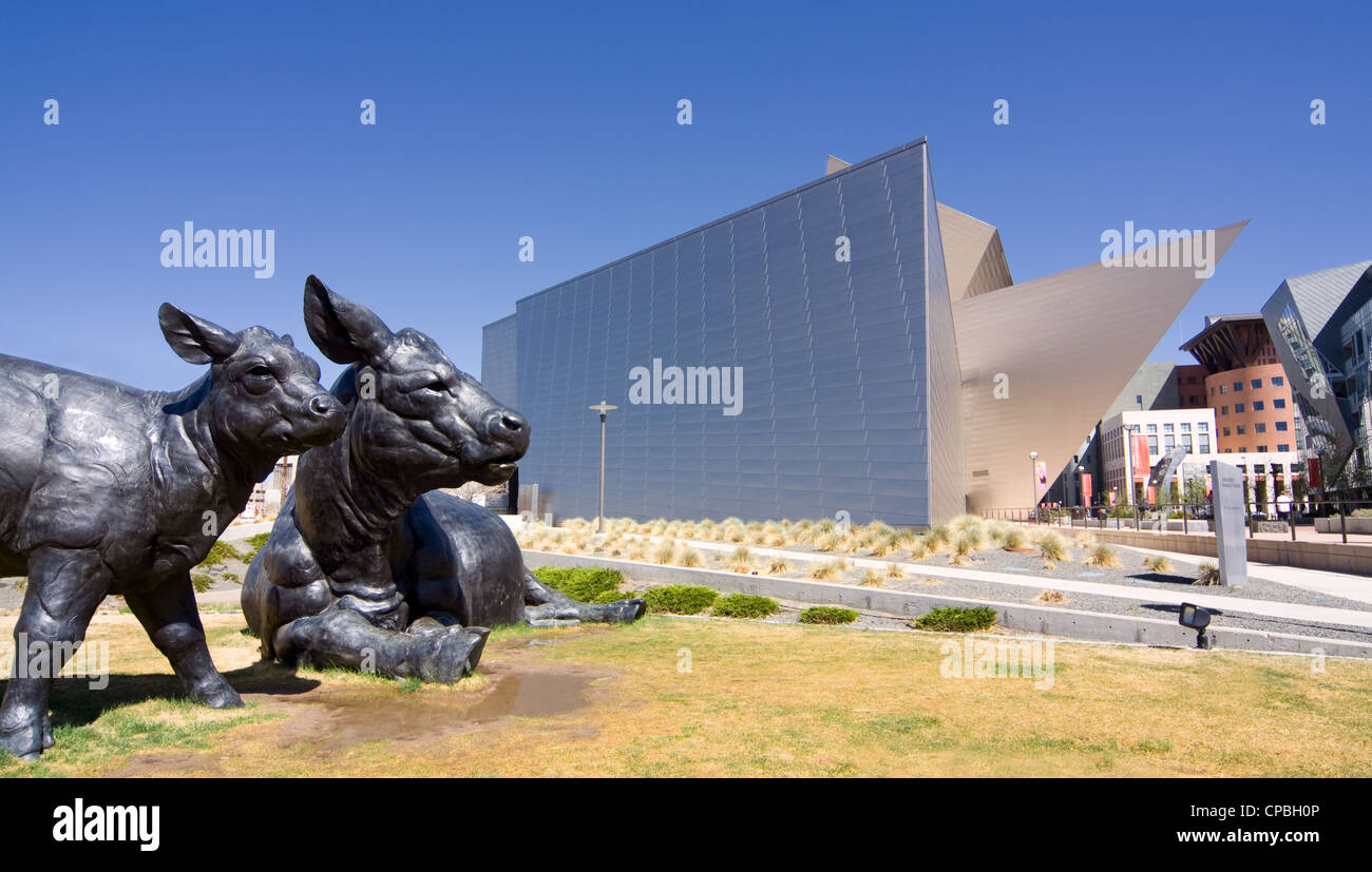 Scottish Angus Cow and Calf Sculpture by Dan Ostermiller beside the Hamilton Building at the Denver Art Museum, Colorado Stock Photo