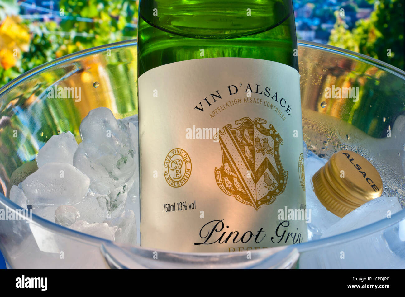 Alsace Pinot Gris wine label on bottle in iced cooler with screw cap, vineyards in background Alsace France Stock Photo