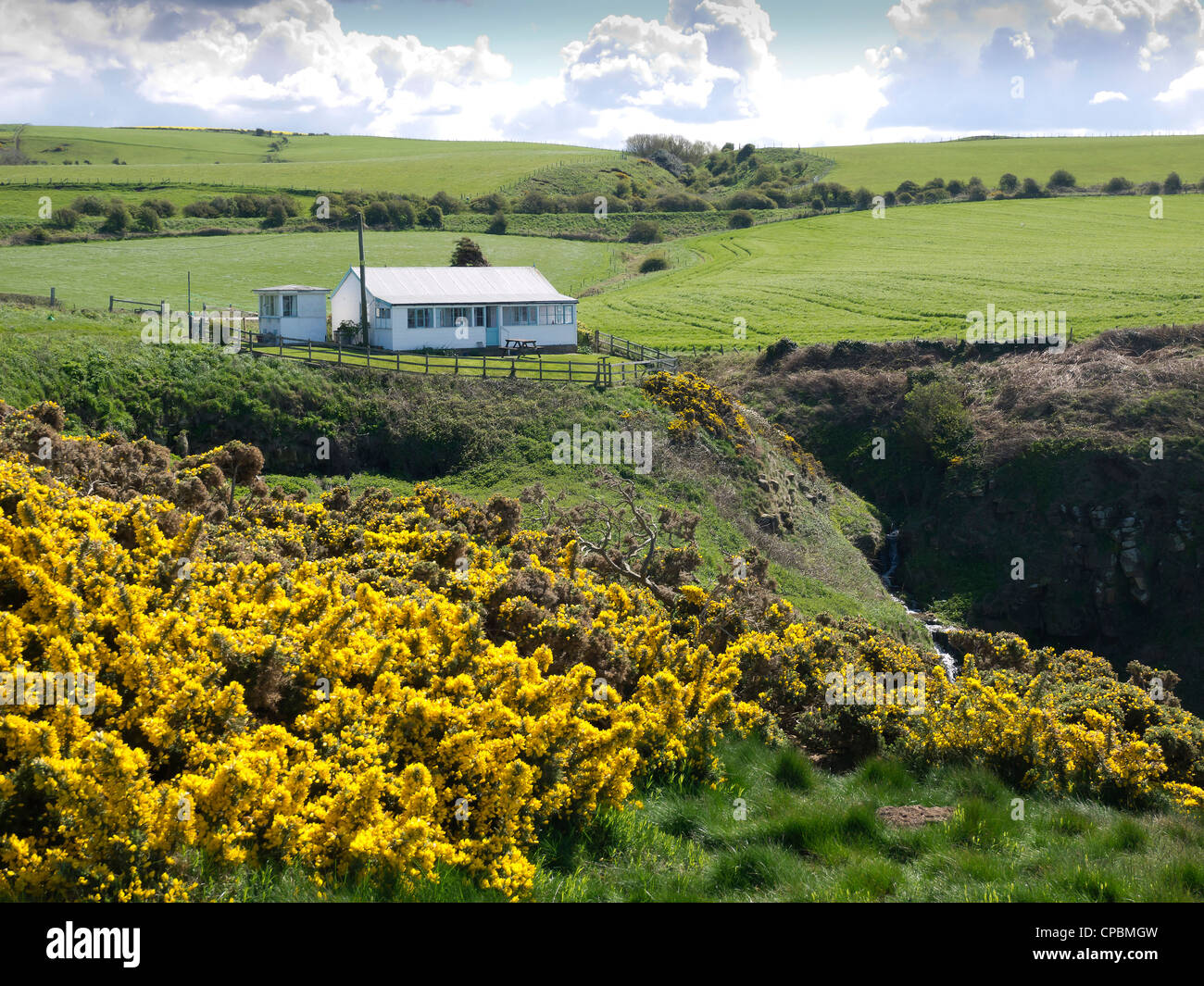 A holiday bungalow precariously perched on the cliff edge at Kettleness North Yorkshire with yellow gorse in the foreground Stock Photo