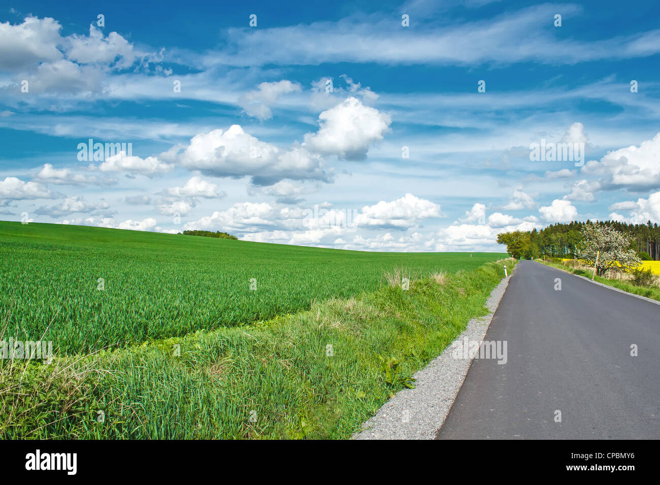 Beautiful summer rural landscape with green field and blue sky Stock ...