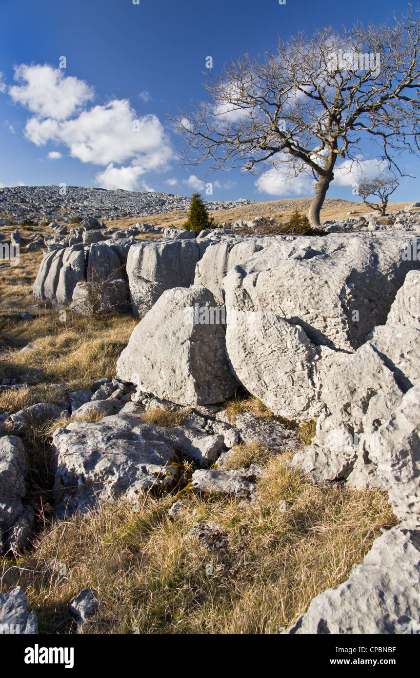 Limestone outcrops at Farletom Knott Cumbria Stock Photo