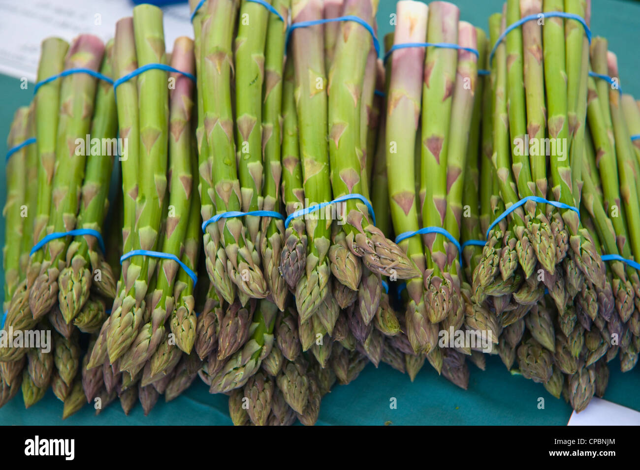 Asparagus festival hires stock photography and images Alamy