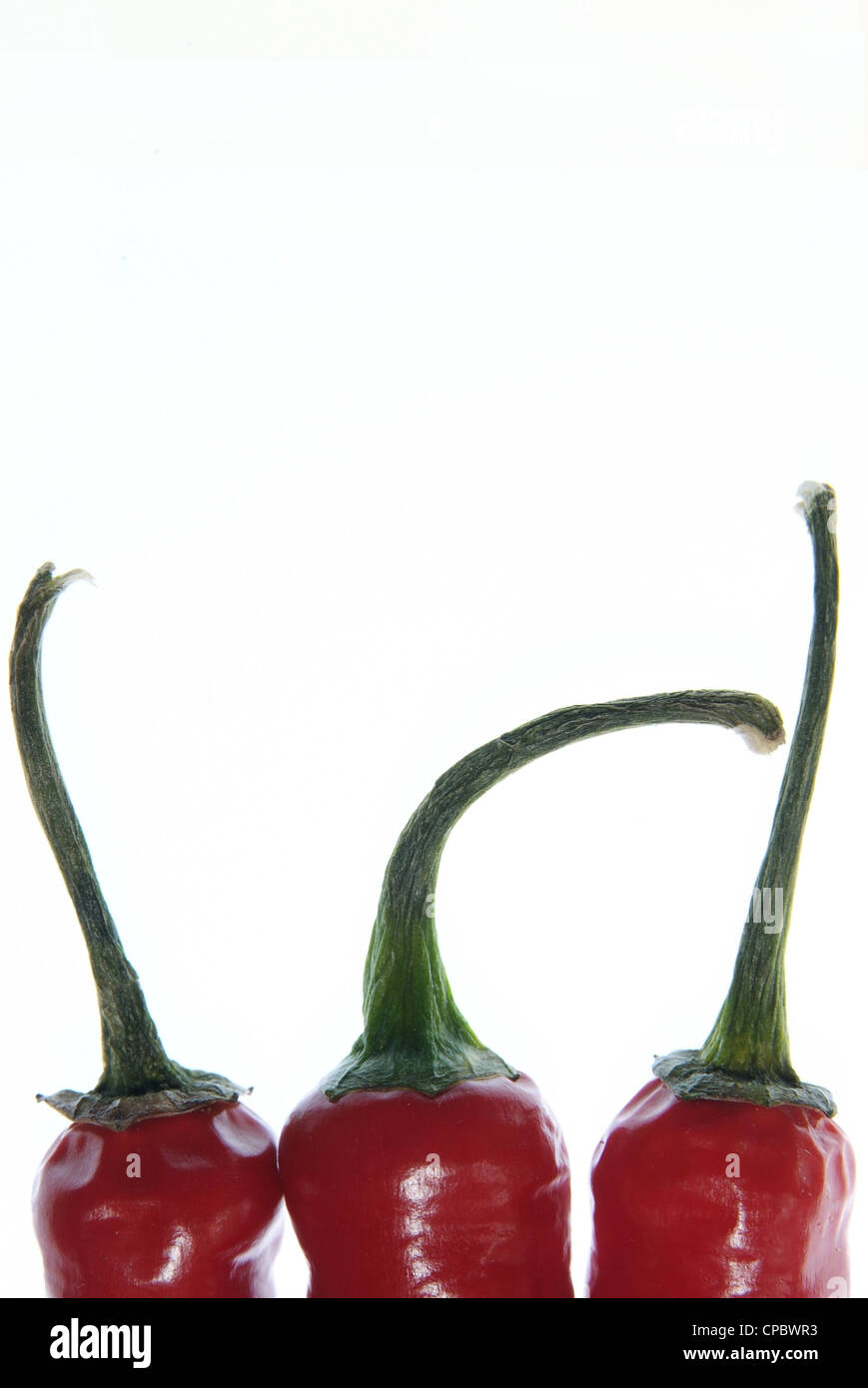 Red Chilli Peppers Stock Photo