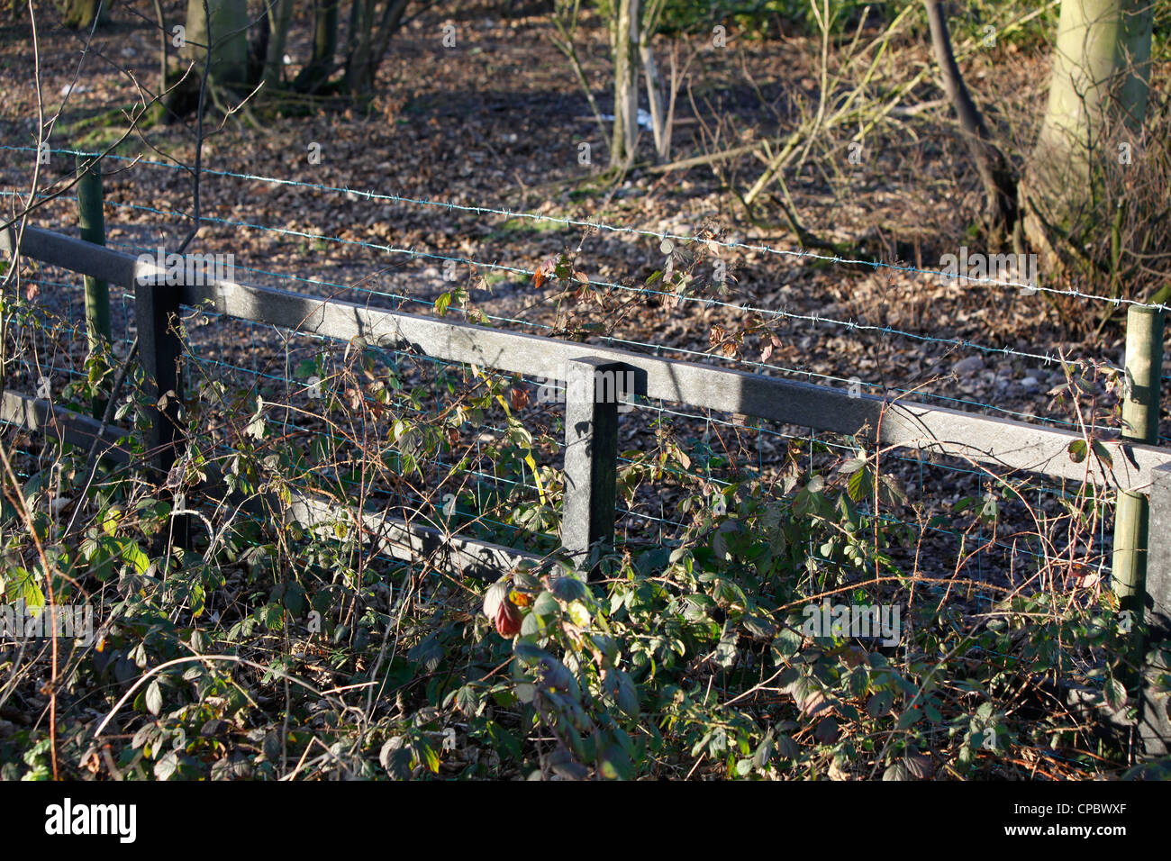 Traditional style fencing and posts made from recycled plastic,so
