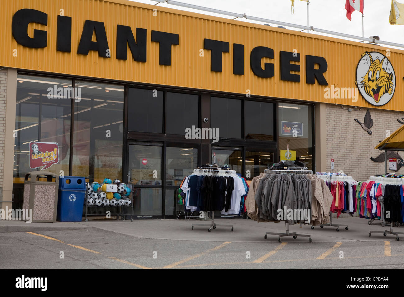 Giant tiger store hi-res stock photography and images - Alamy