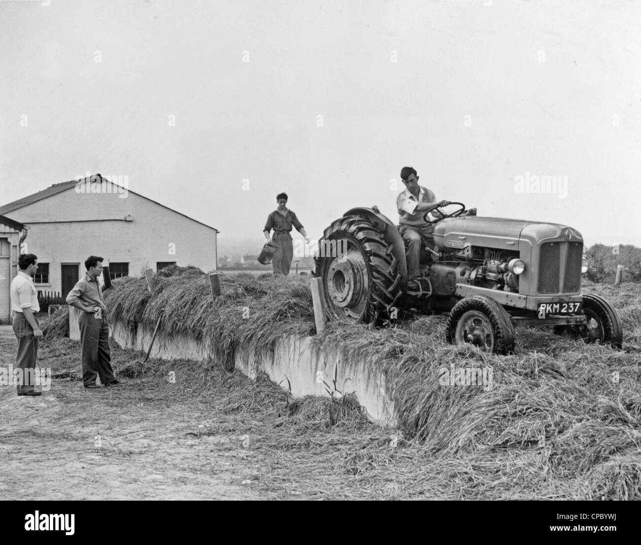 Image showing the construction of a silage pit at Wye Agricultural College in Kent using a Fordson Major tractor. 1954. Stock Photo