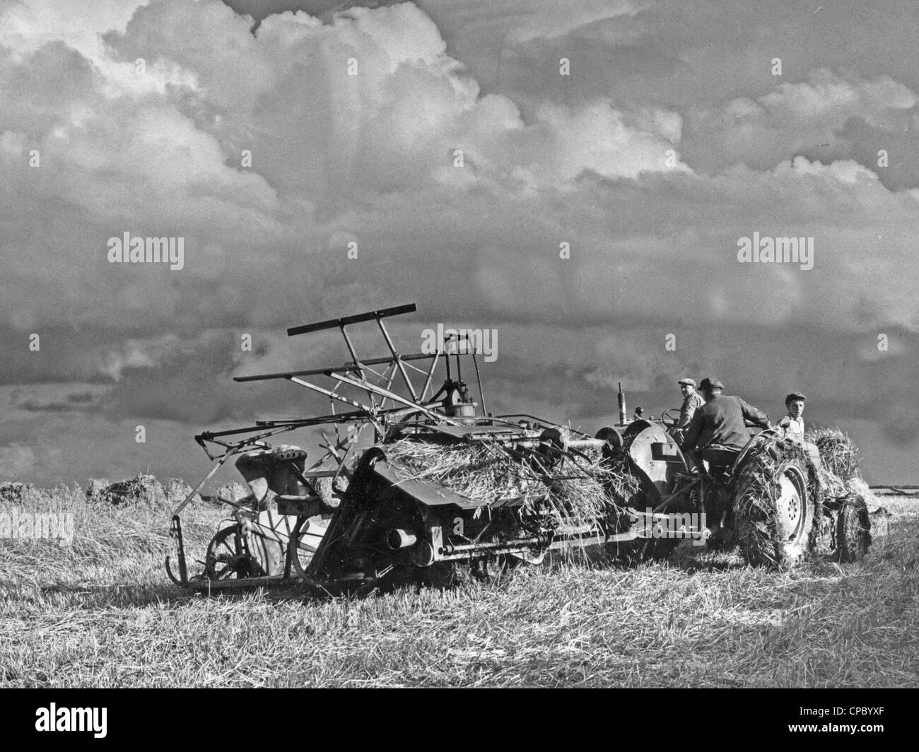 Harvesting near Bideford. A vintage farming scene from the 1950s Stock Photo