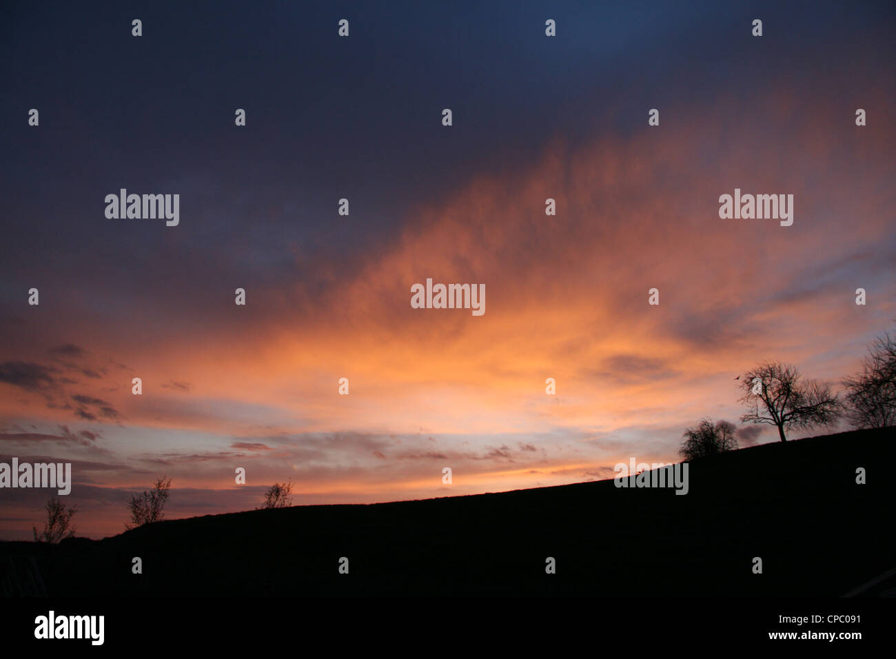 Early morning sunrise capturing a solitary tree Stock Photo - Alamy