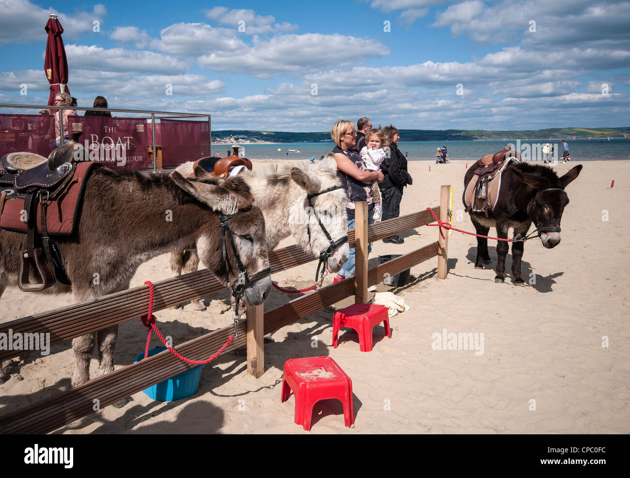 Donkey rides on Weymouth Beach, Dorset, England, UK Stock Photo - Alamy