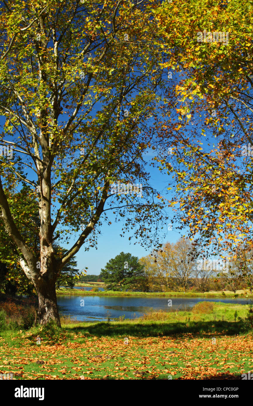View from the Junction Complex, Nottingham Road along the Midlands