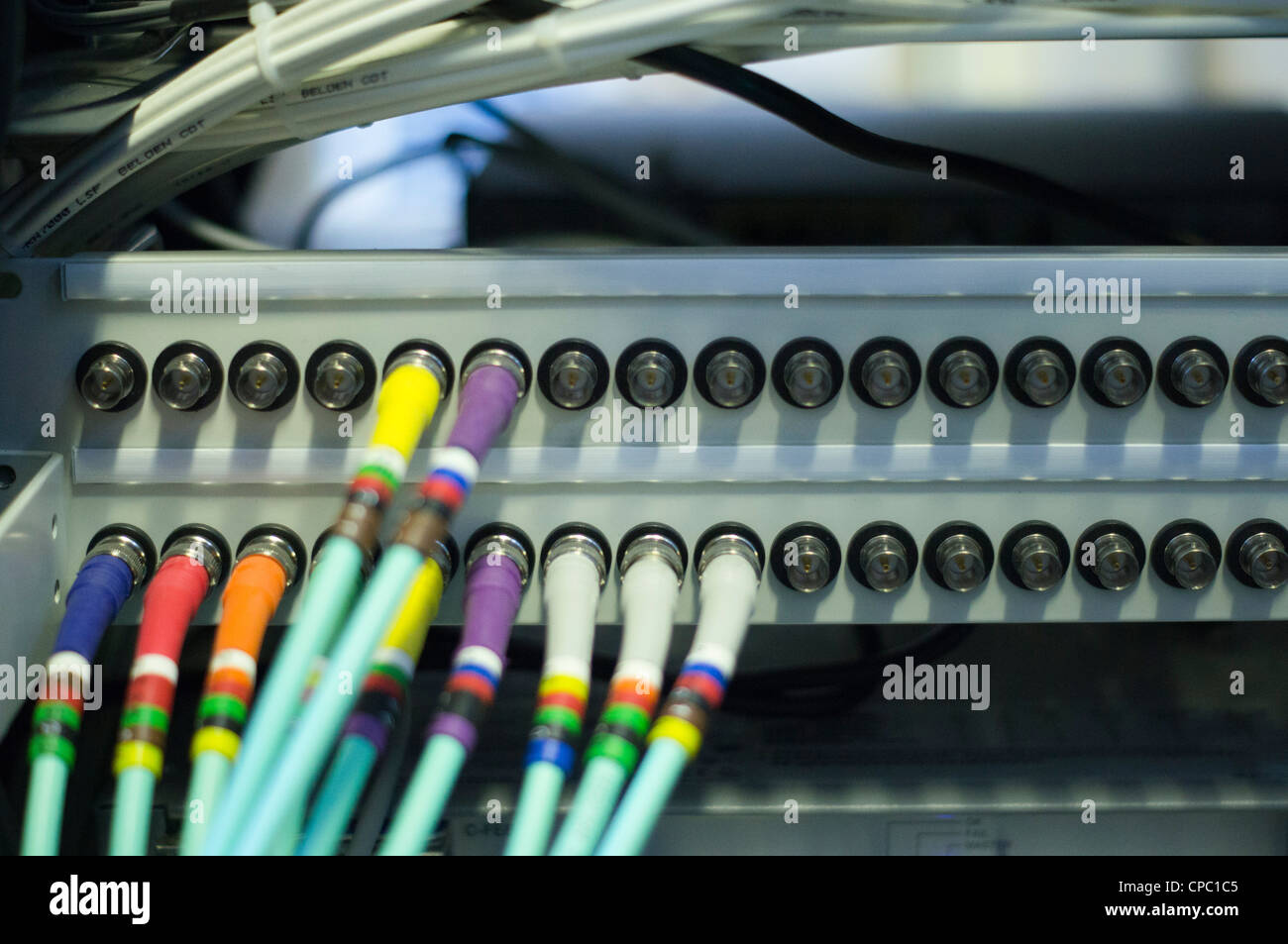 network hub and patch cables Stock Photo Alamy