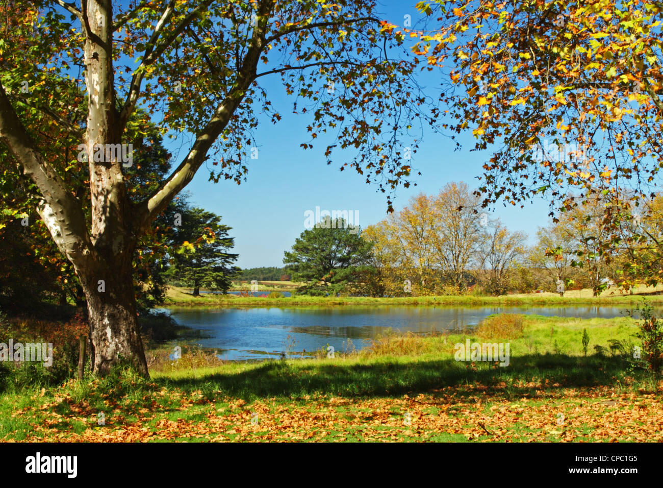 View from the Junction Complex, Nottingham Road along the Midlands