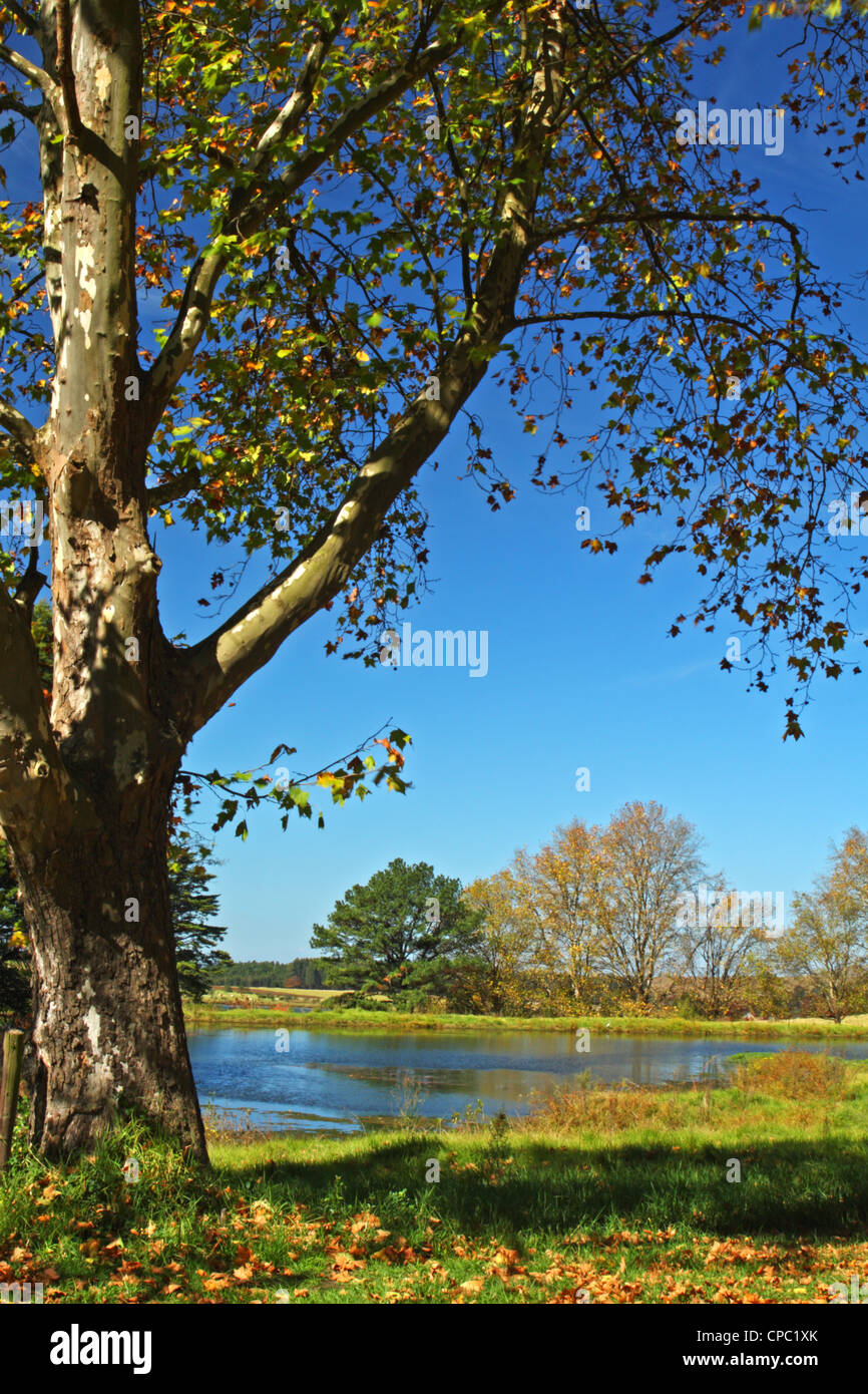 View from the Junction Complex, Nottingham Road along the Midlands