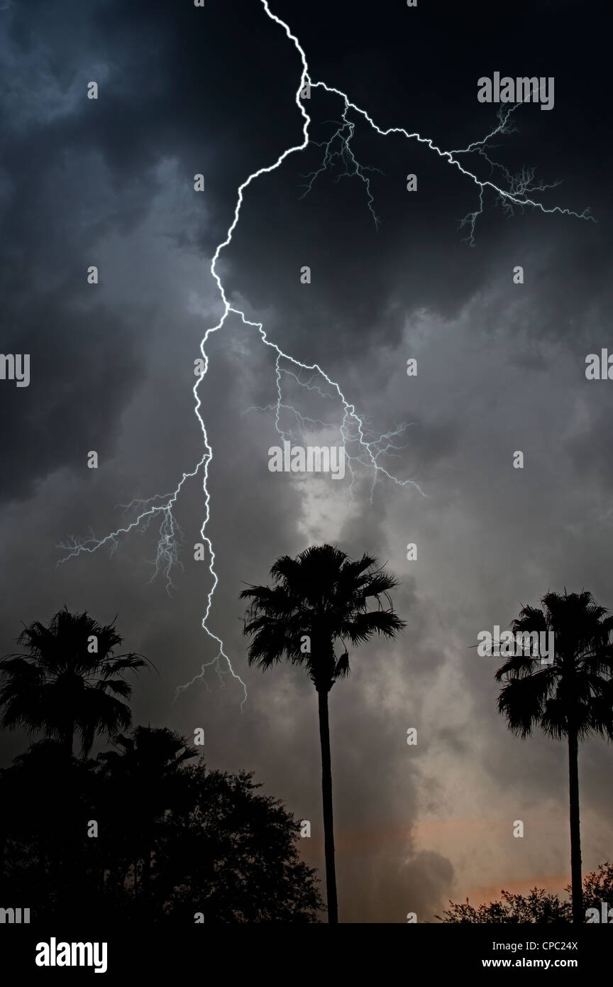 lightning bolt in night sky over tropical jungle Stock Photo