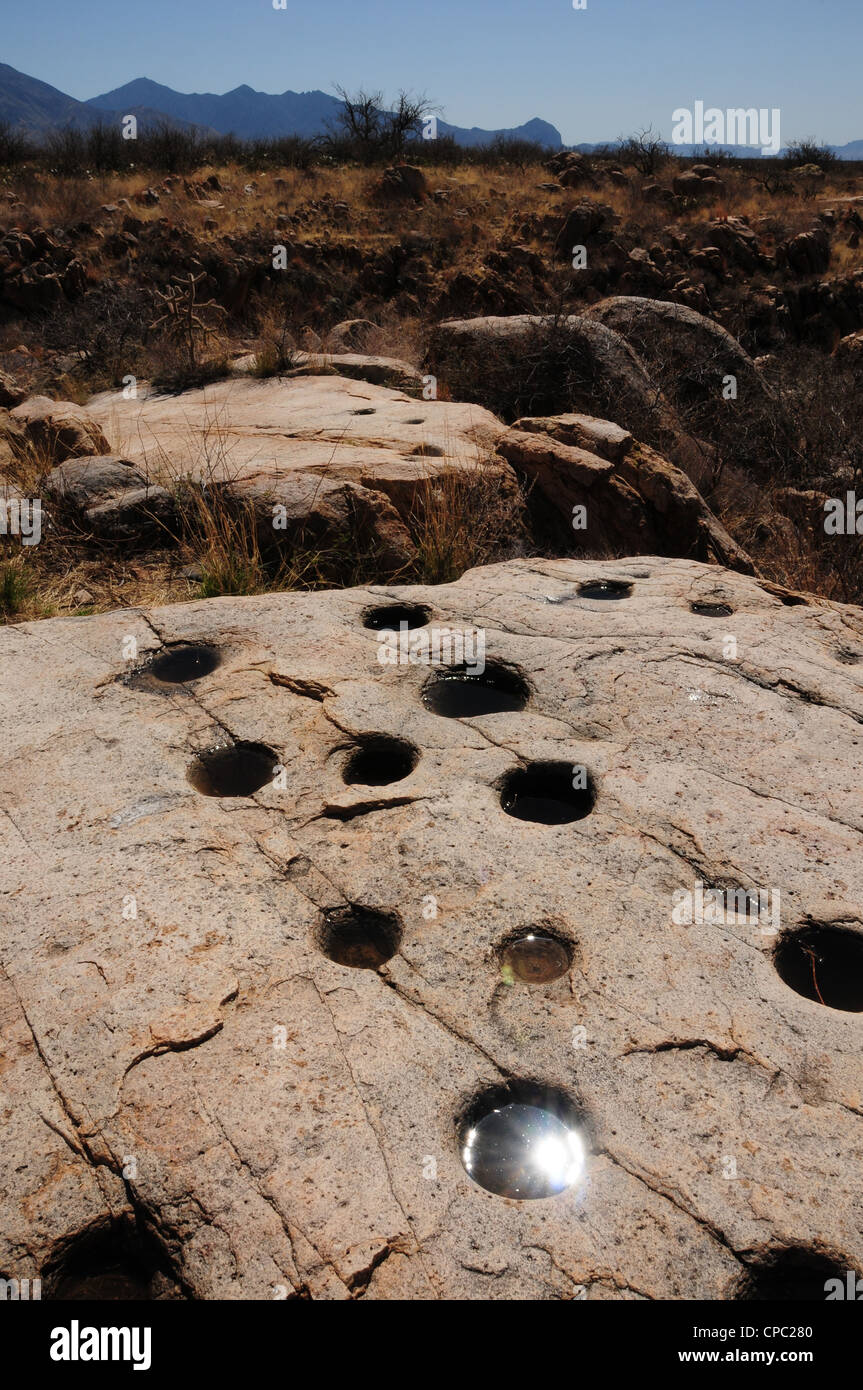 Metates used to grind food by Native Americans or Indians, Santa Rita Mountains, Sonoran Desert, Sahuarita, Arizona, USA. Stock Photo