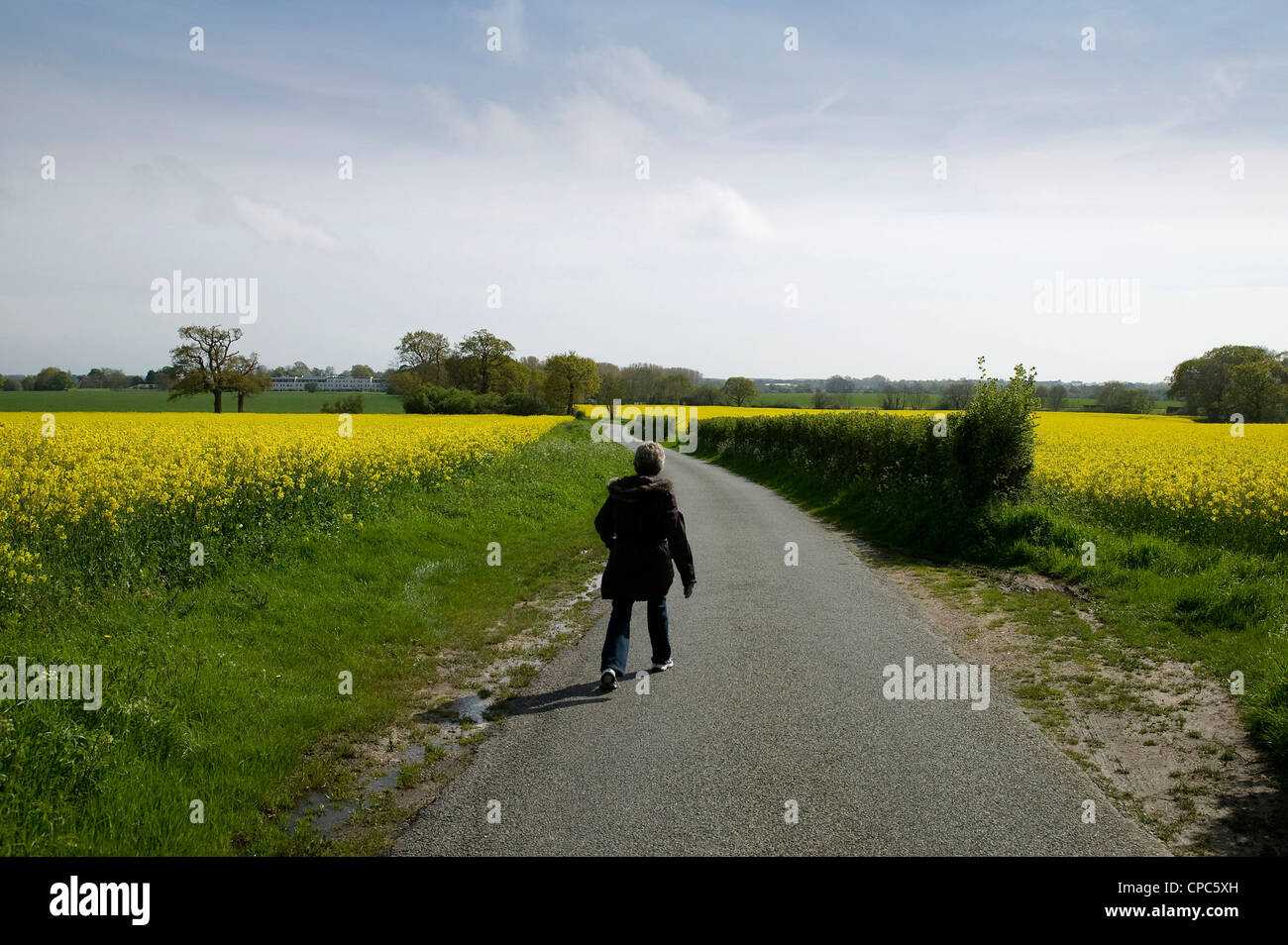 A lady walking on a country lane in Spring Stock Photo - Alamy