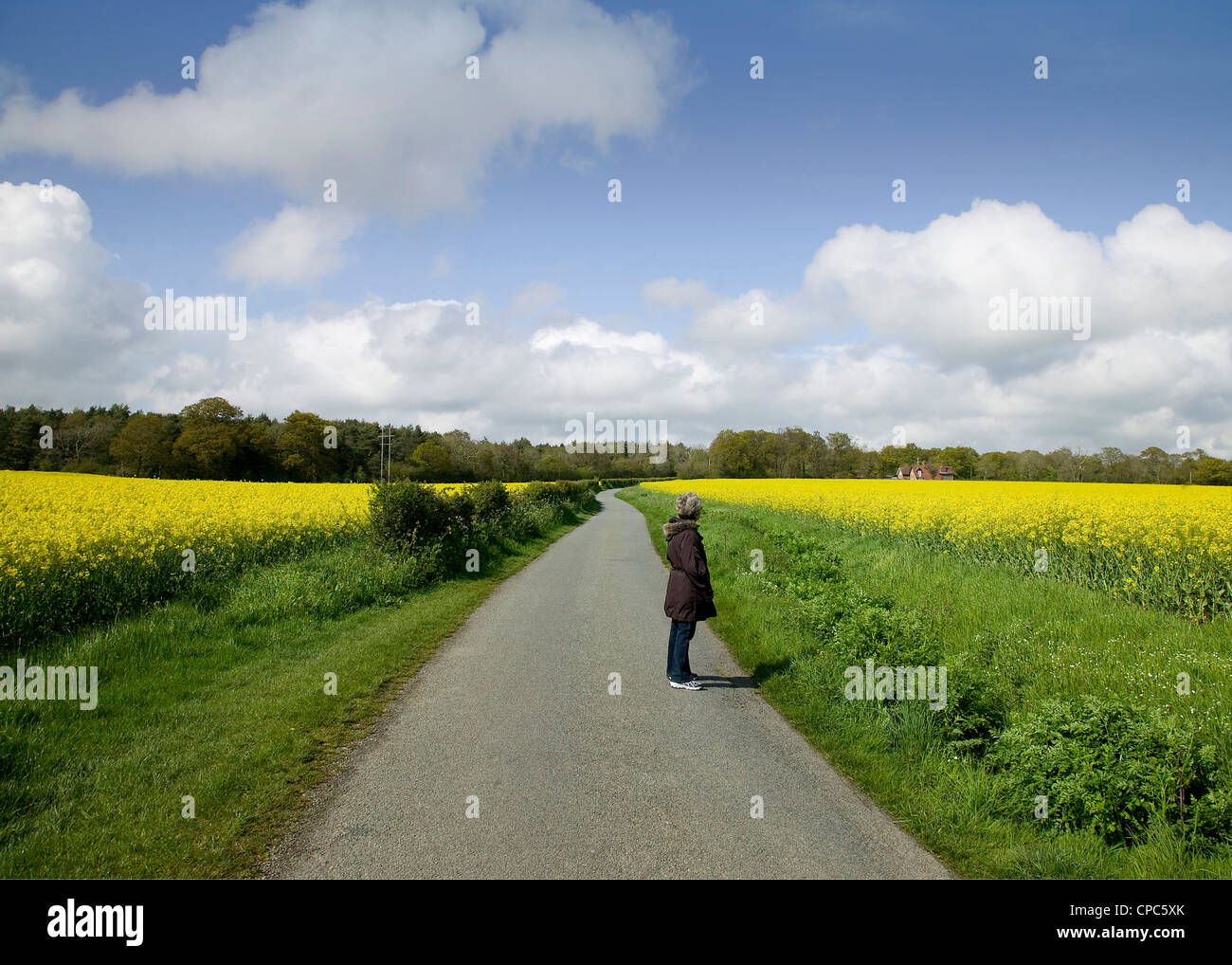 A lady walking on a country lane in Spring Stock Photo - Alamy