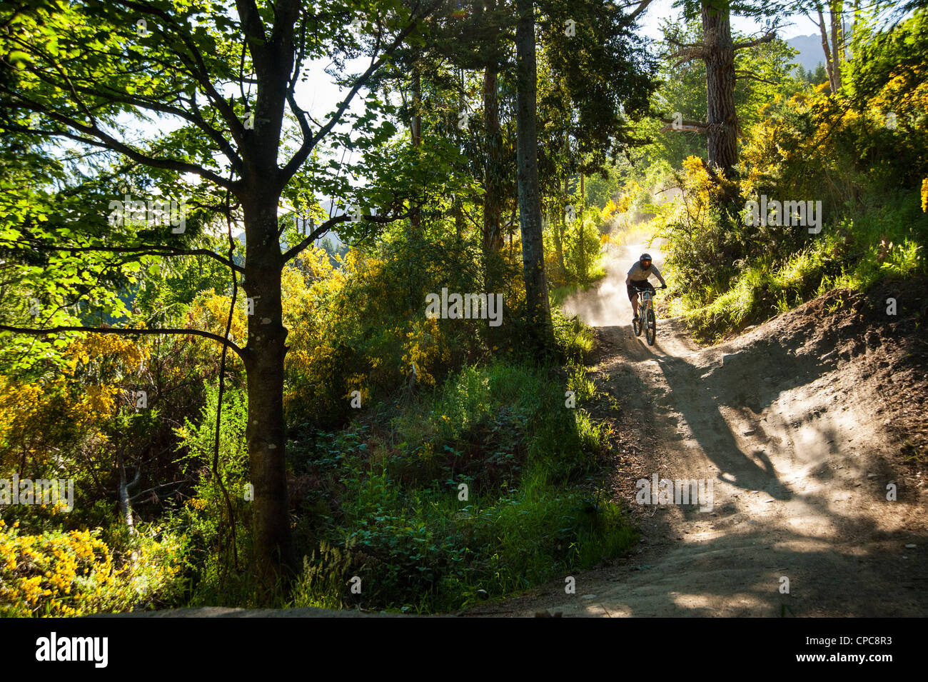 Downhill mountain biking at Queenstown Bike Park South Island New