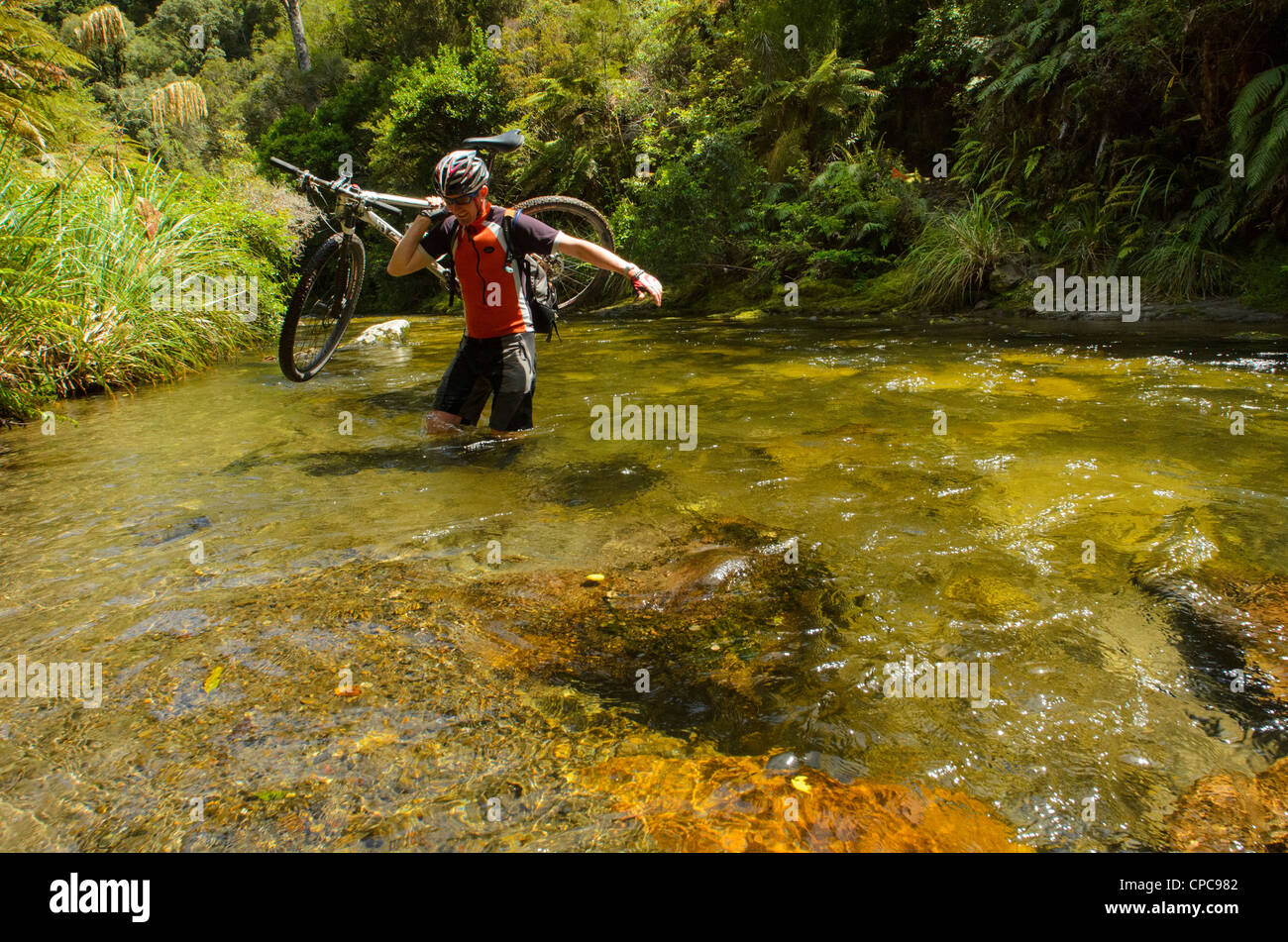 Mountain biker Jonathan Kennett crossing the Maramataha River in Pureora Forest Park, North Island, New Zealand Stock Photo