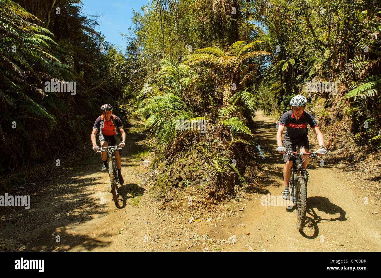 Jonathan and Simon Kennett of New Zealand mountain bike guidebook firm The Kennett Brothers, Pureora Forest Park, North Island Stock Photo