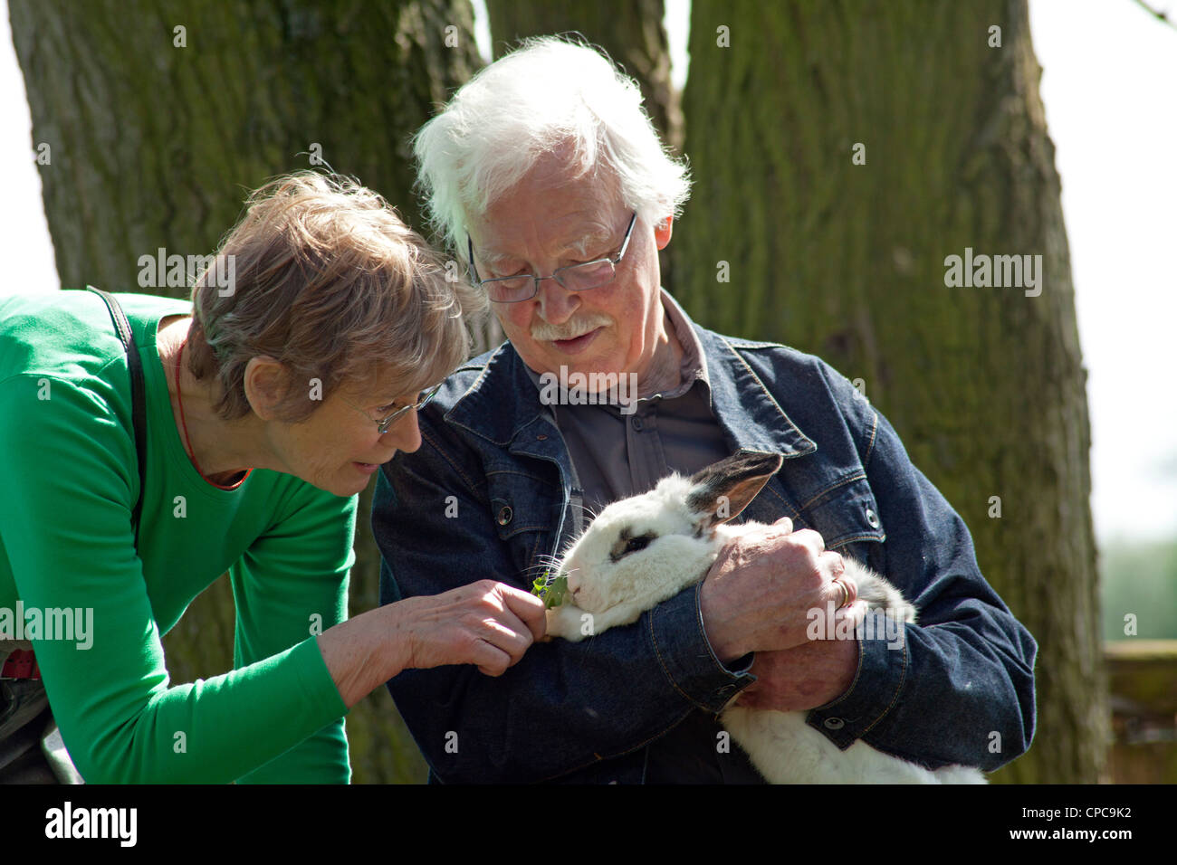 elderly couple cuddling a rabbit Stock Photo - Alamy