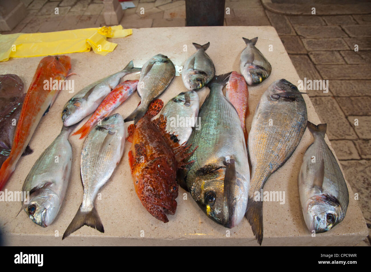 Local fish from the Adriatic sea in seafood market Grad the old town