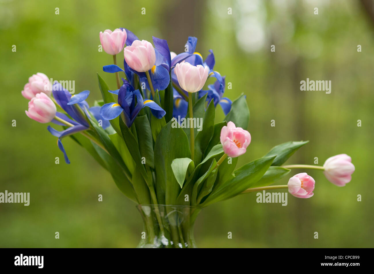 Flower arrangement blue purple hi-res stock photography and images - Alamy