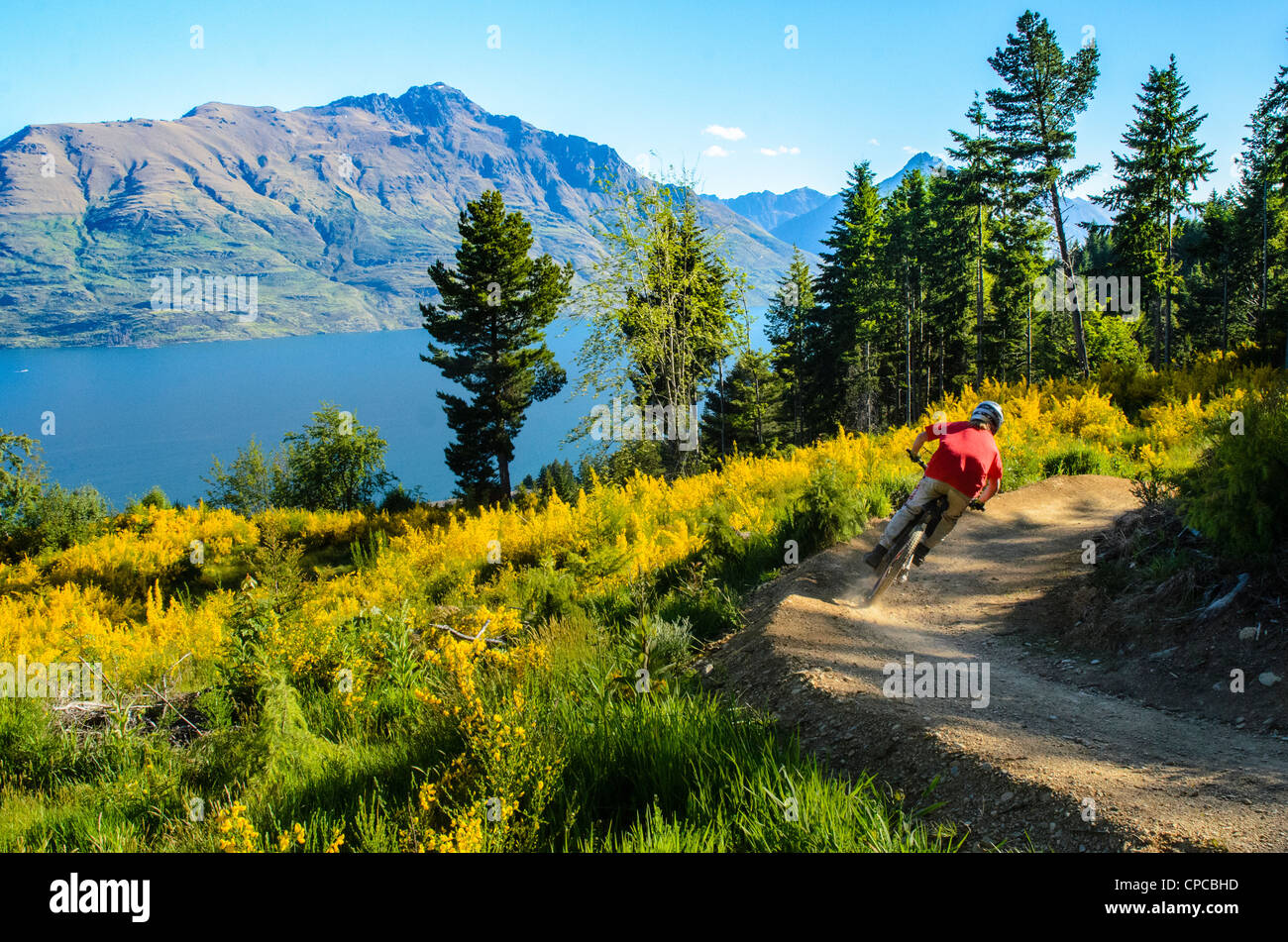 Downhill mountain biking at Queenstown Bike Park South Island New