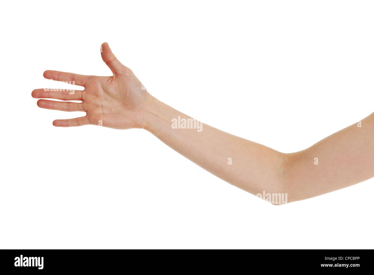 Woman hand (palm) isolated on white background Stock Photo - Alamy