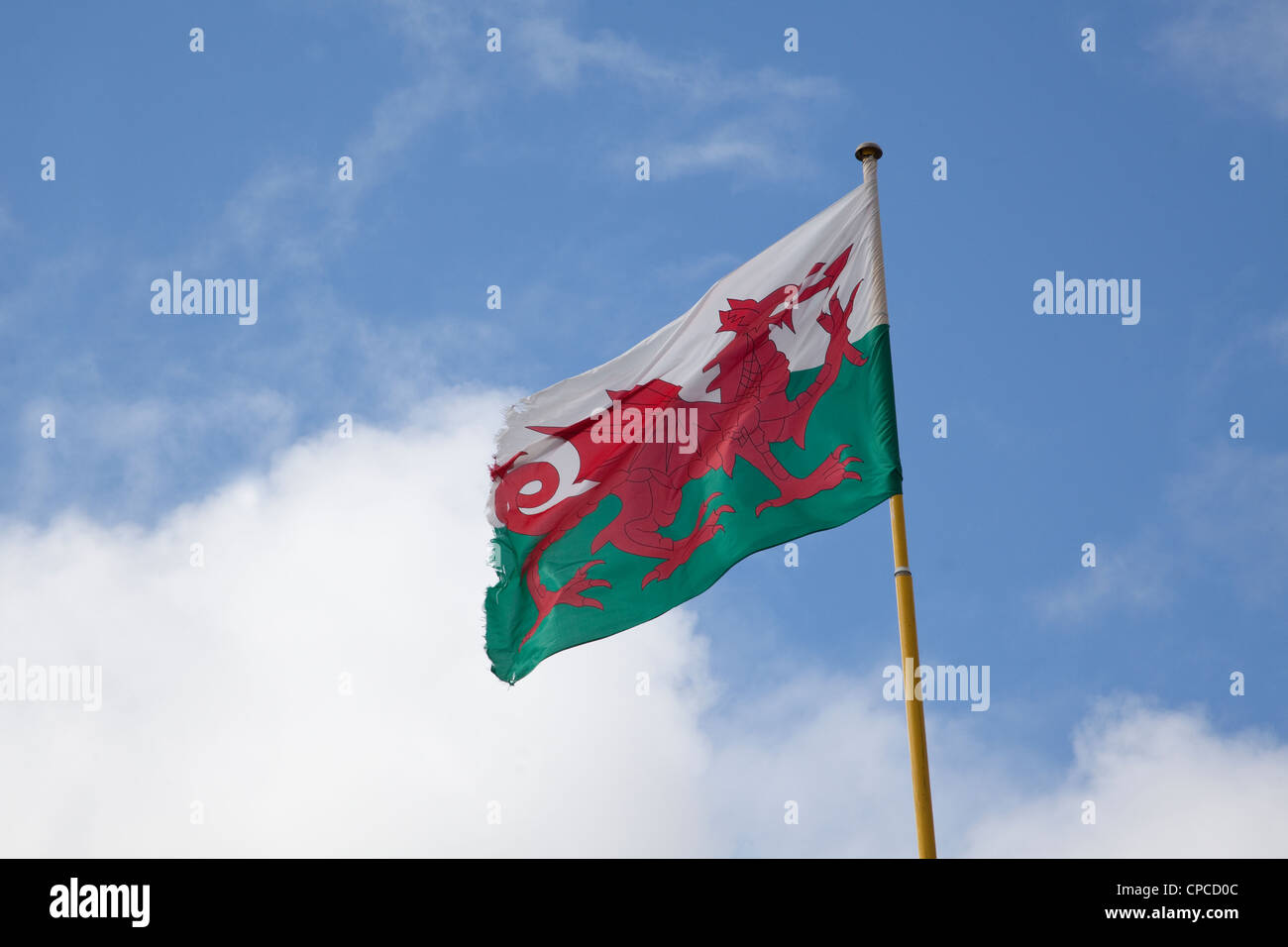 The Red Dragon 'Y Ddraig goch' the national flag of Wales against a blue and white sky Stock Photo