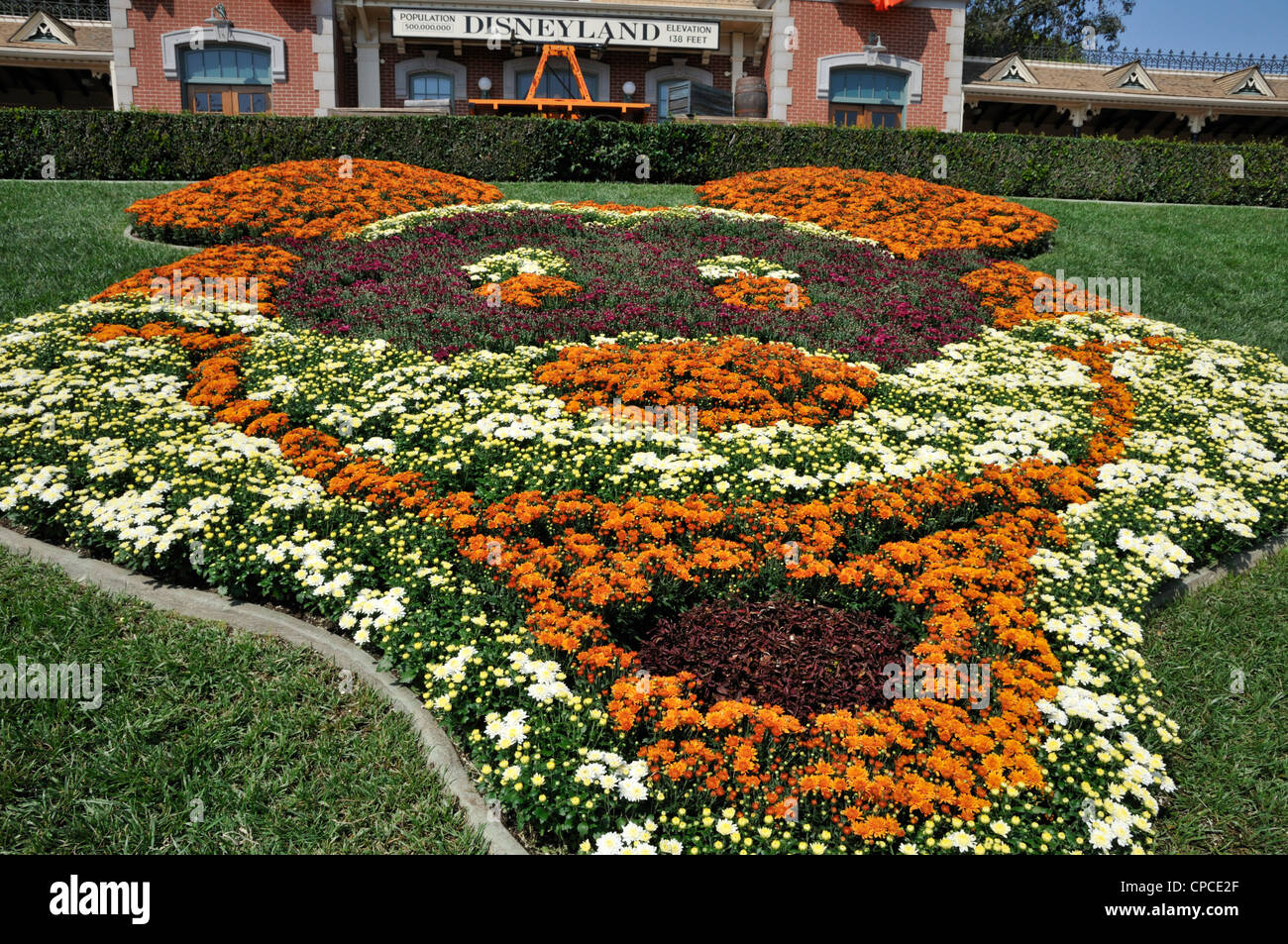 Disneyland mickey flowers hires stock photography and images Alamy
