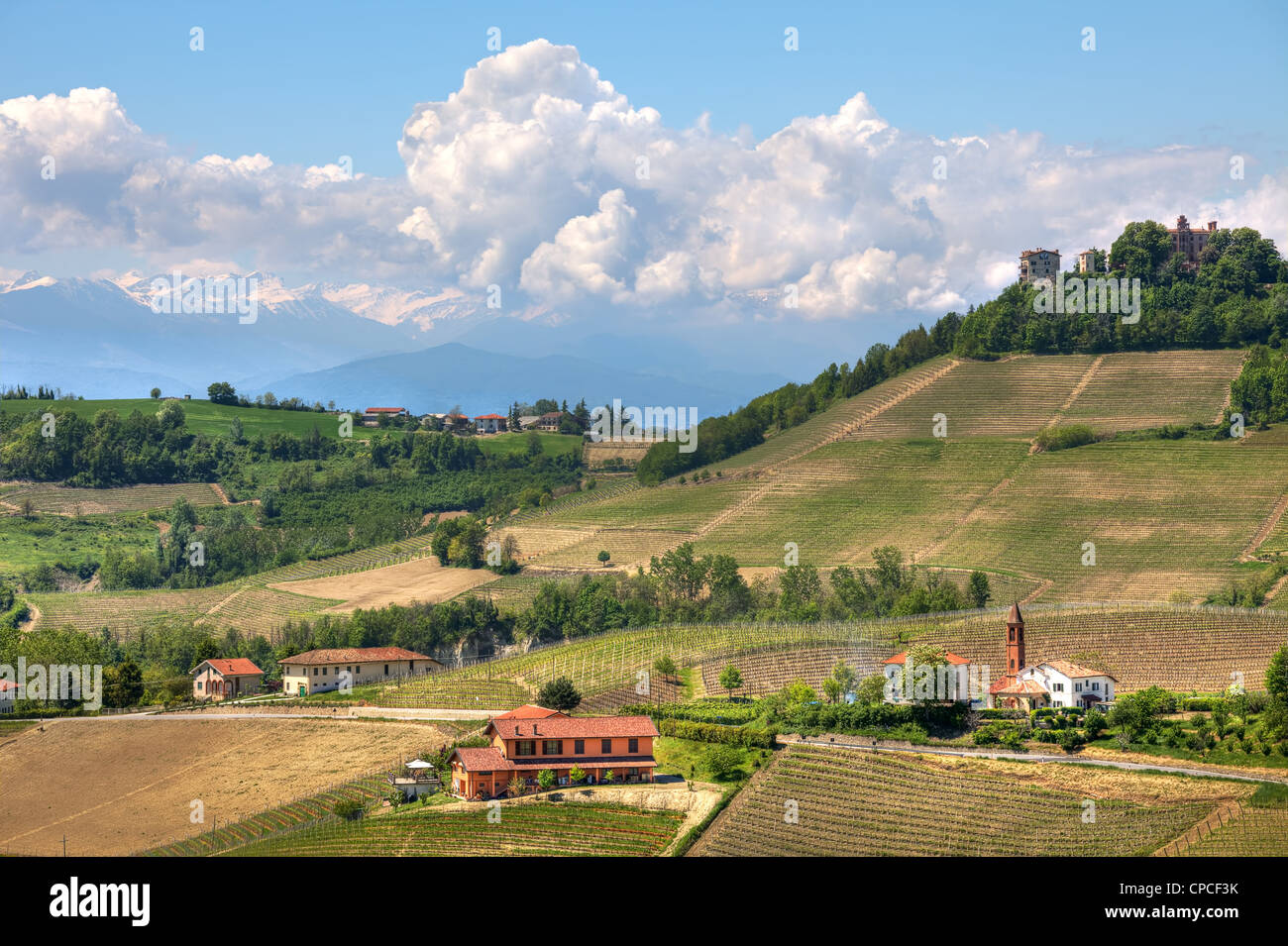 Green hills and vineyards and mountains on the background at spring in Piedmont, Northern Italy. Stock Photo