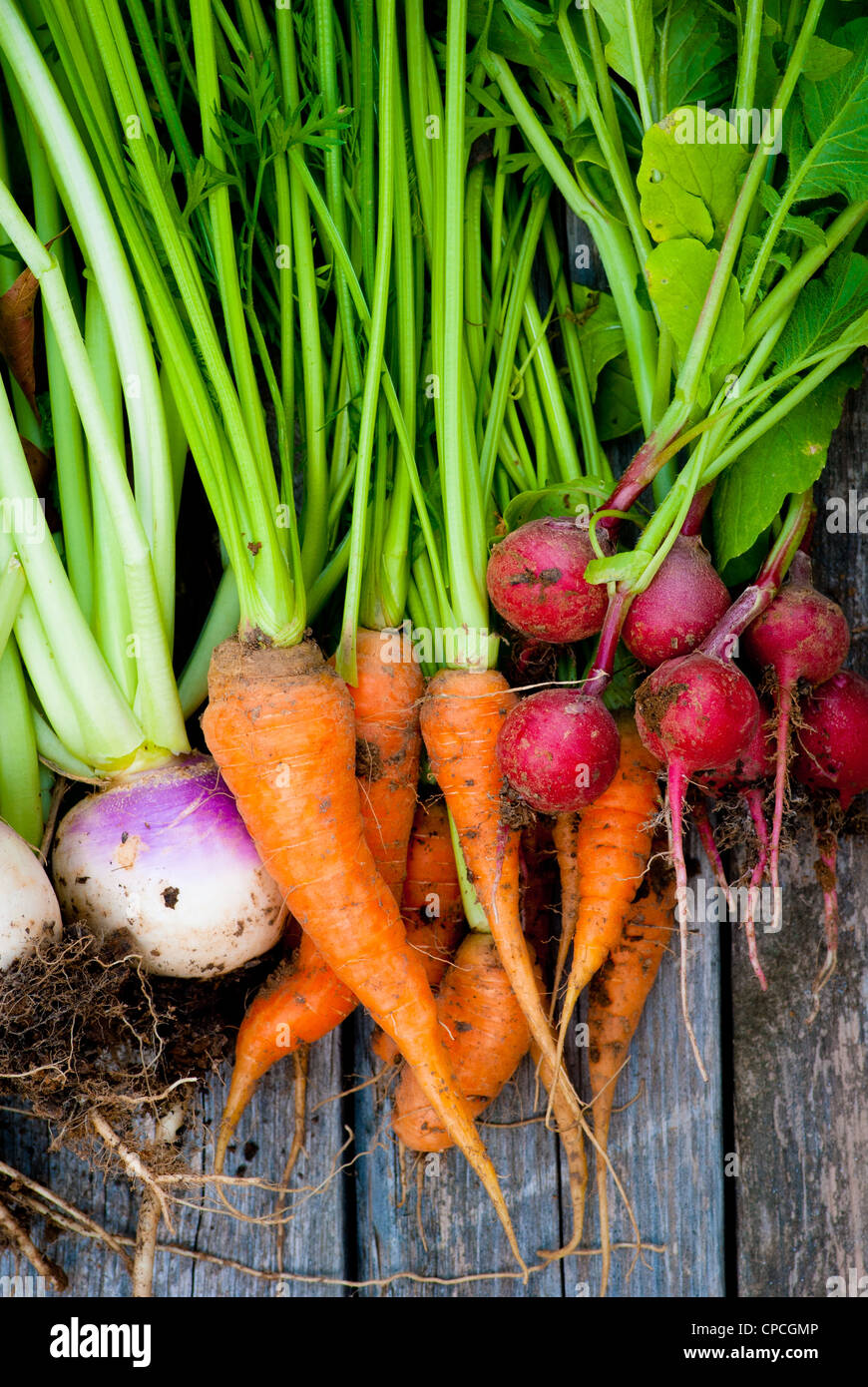 Fresh Root Vegetables Stock Photo
