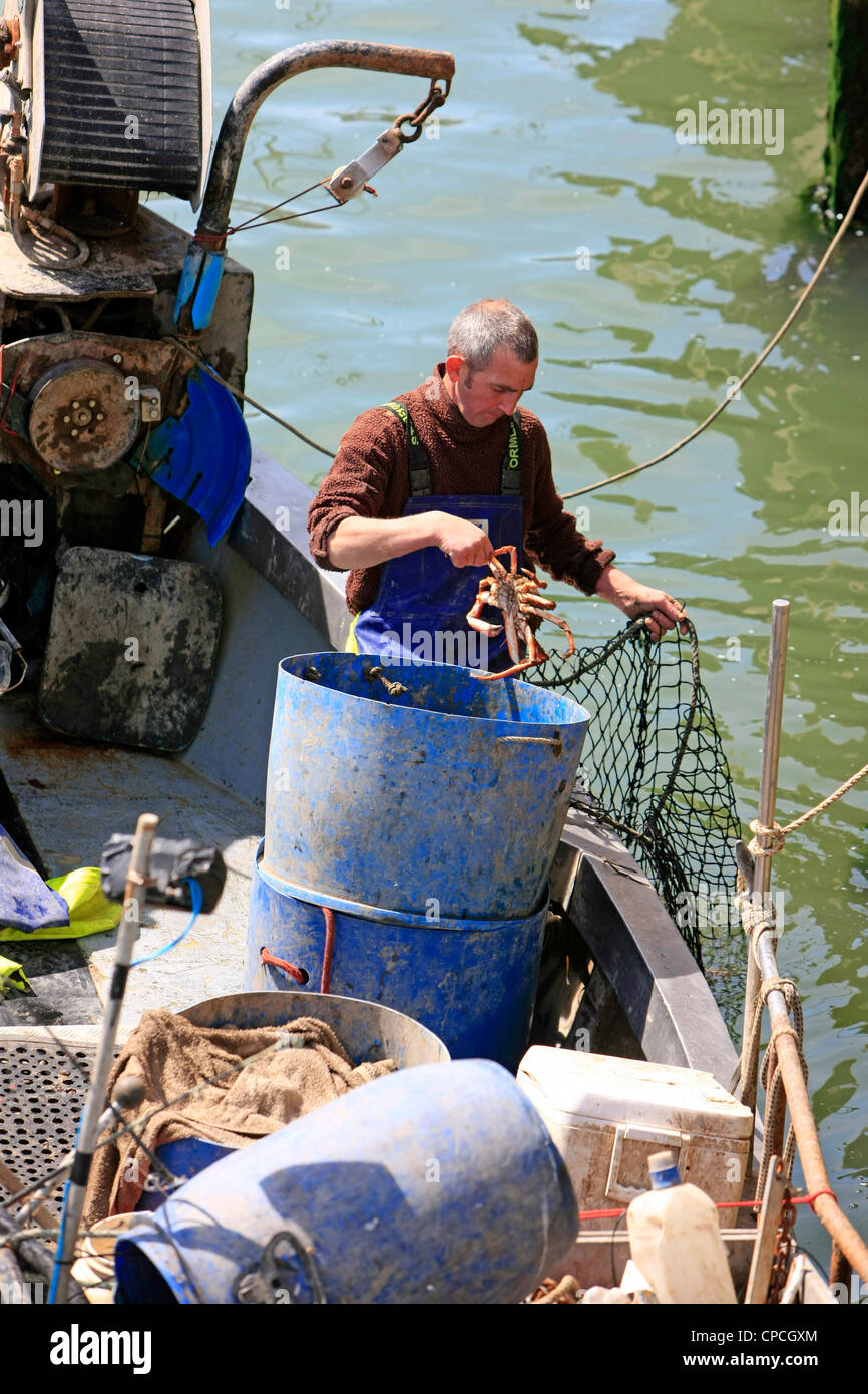 A fisherman transfers his catch of Crab from boat to holding net in