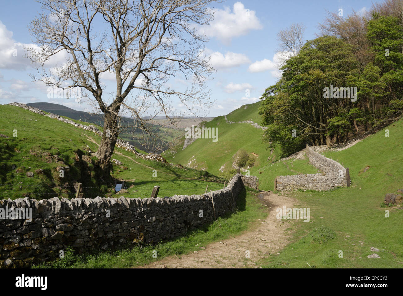A view looking down in to Cave dale at castleton in Derbyshire, England UK, English Peak District landscape. Limestone gorge National park Stock Photo
