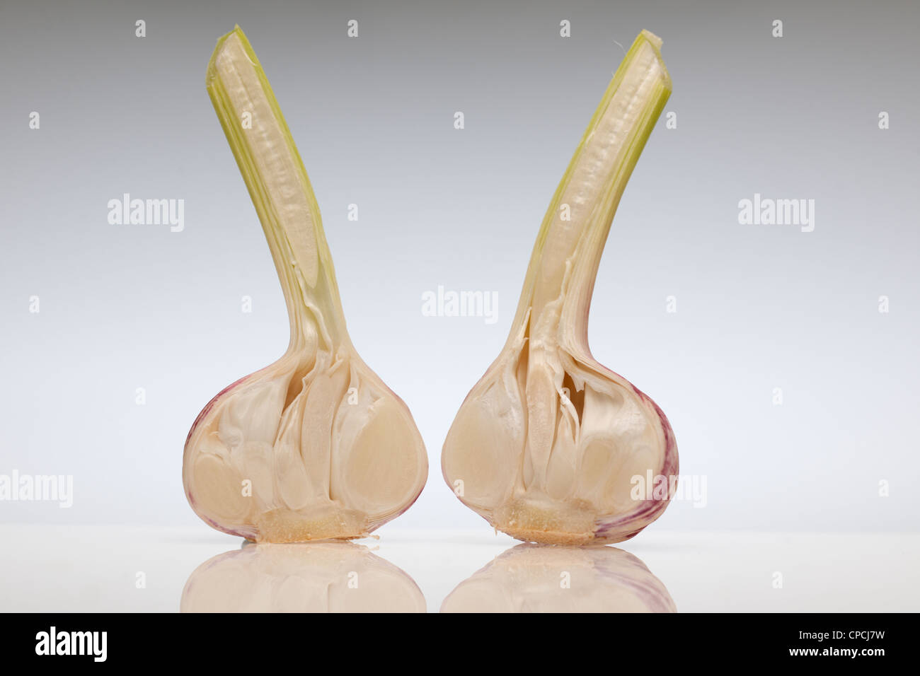 Sliced garlic bulb and stem Stock Photo
