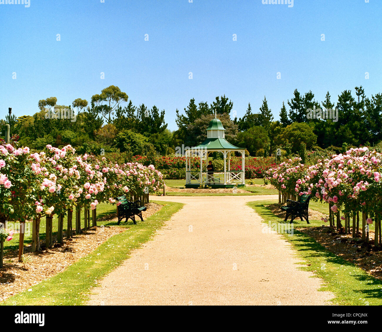 Gazebo at the centre of the Victoria State Rose Garden Werribee