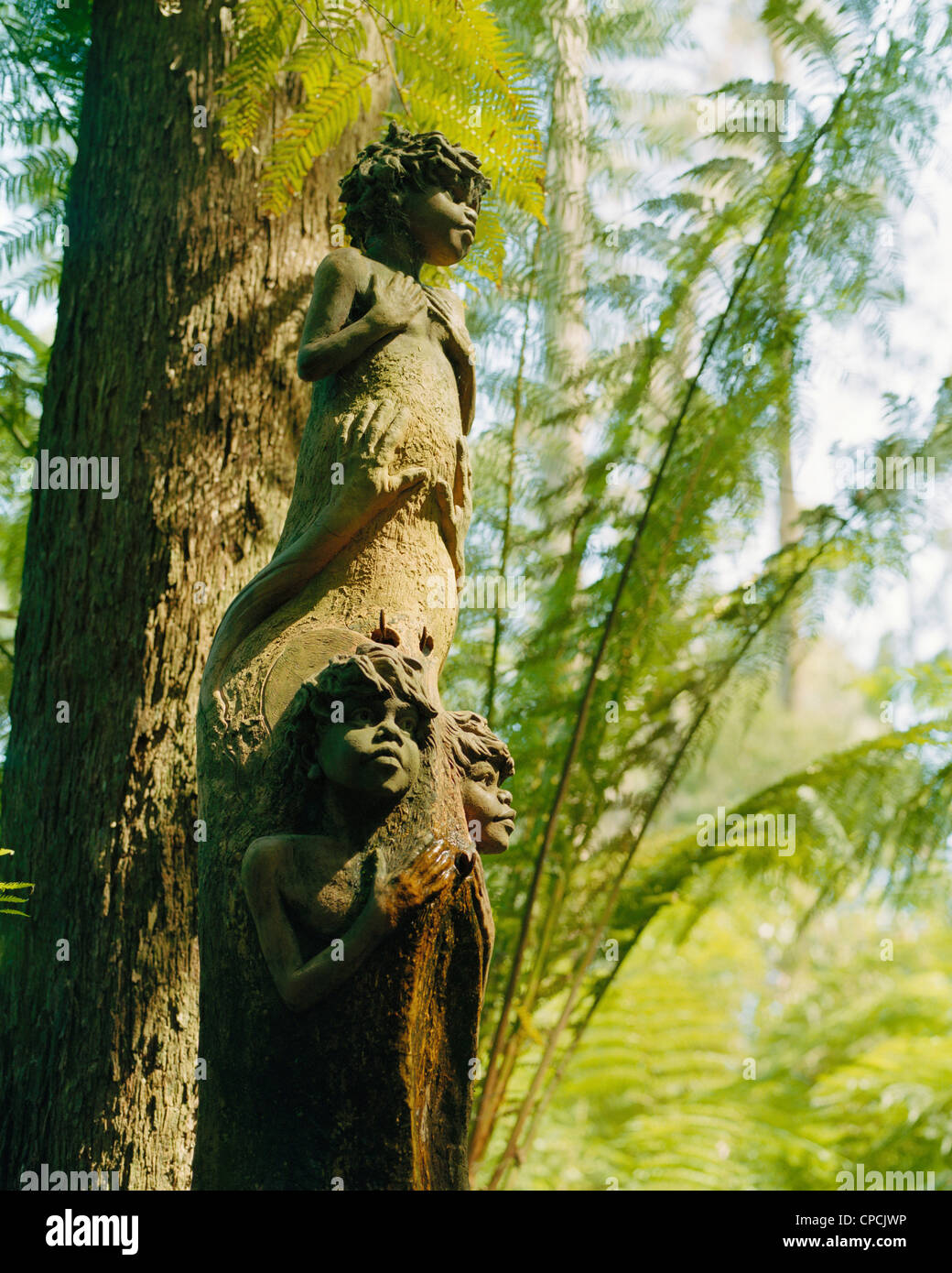 Faces of Aborigine chlidren carved into tree trunk at William Ricketts Sanctuary Dandenong Hills Australia Stock Photo
