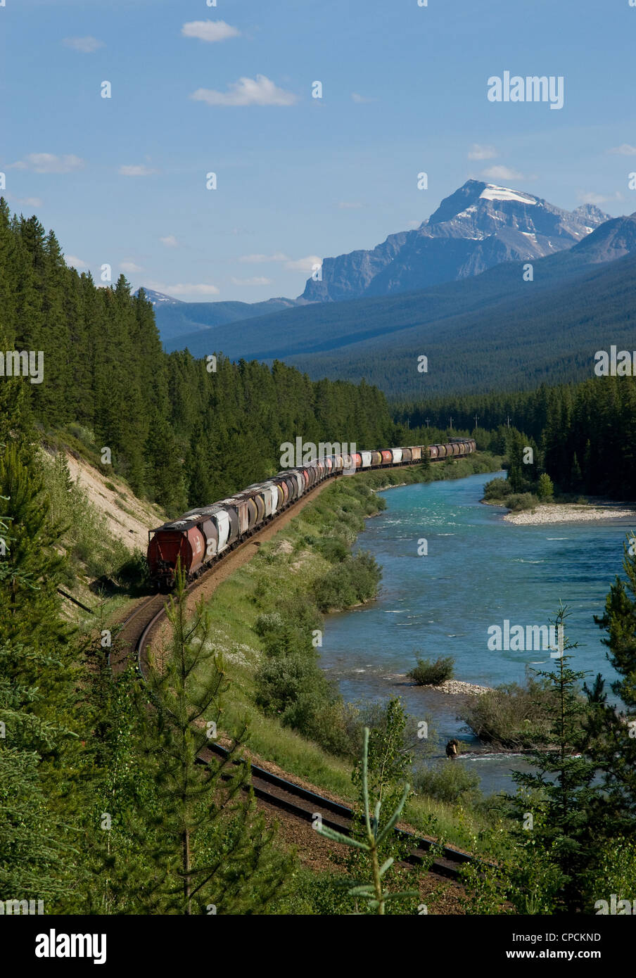 A Canadian Pacific train travelling through Morants Curve, near Lake Louise, Alberta, Canada Stock Photo