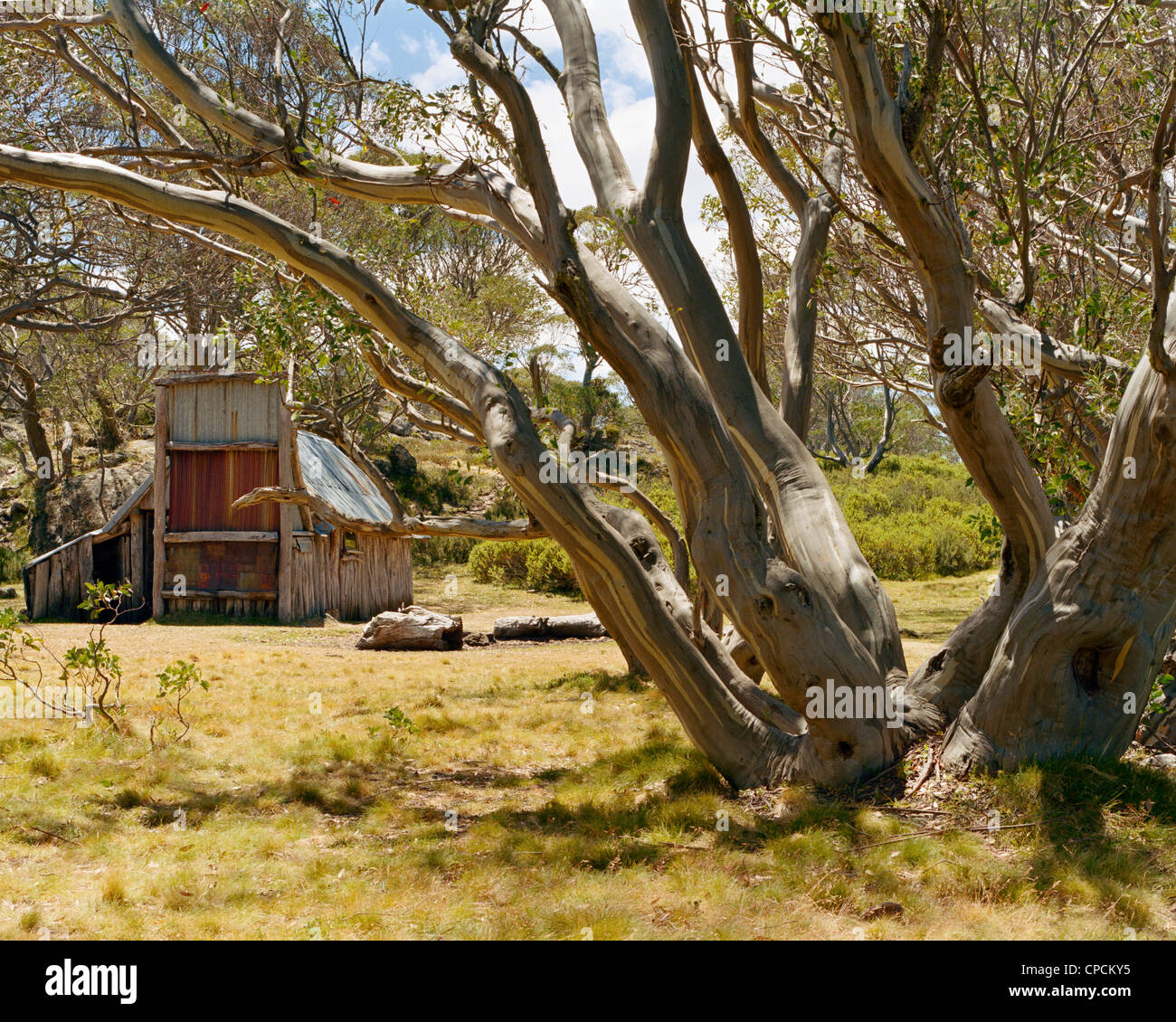 Wallace's Hut in the Victorian High Country Australia Stock Photo