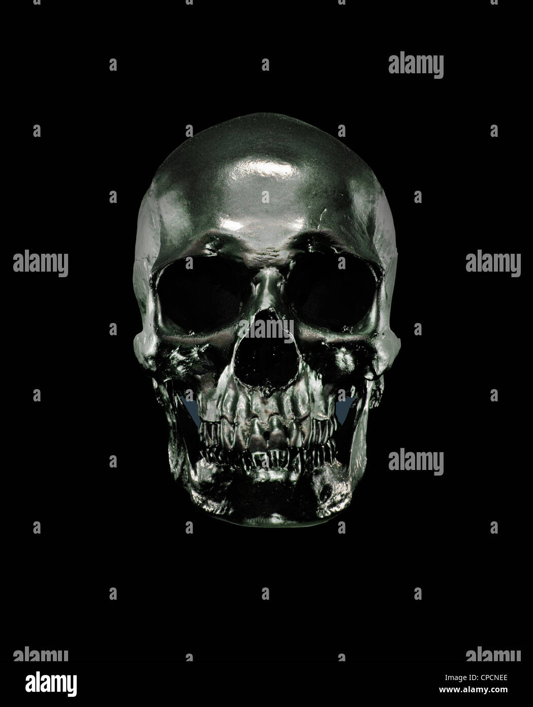 Metal model of human skull Stock Photo