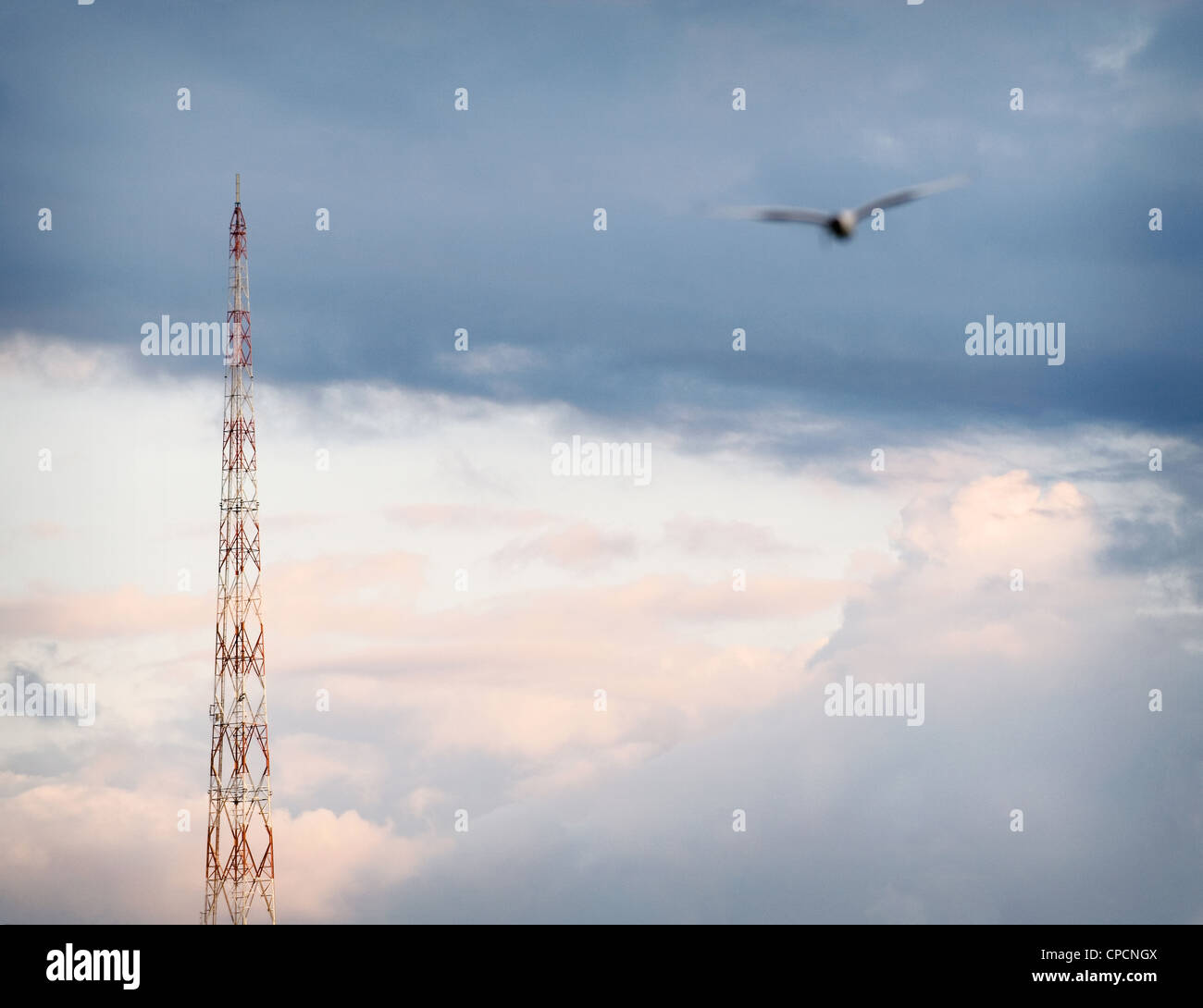 Bird flying towards tower Stock Photo