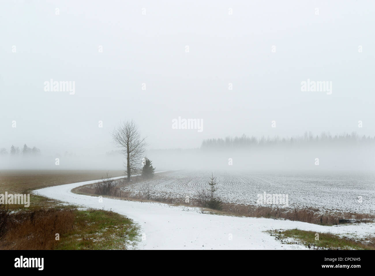 Snowy road in rural landscape Stock Photo