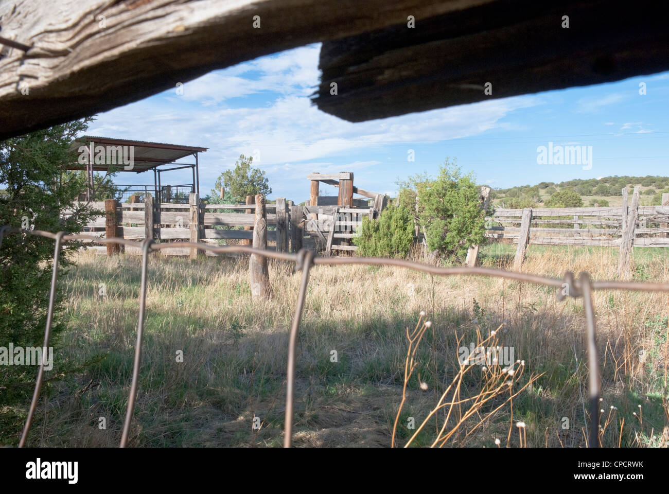 Wooden fencing and barbed wire enclose a loading area for cattle. Stock Photo