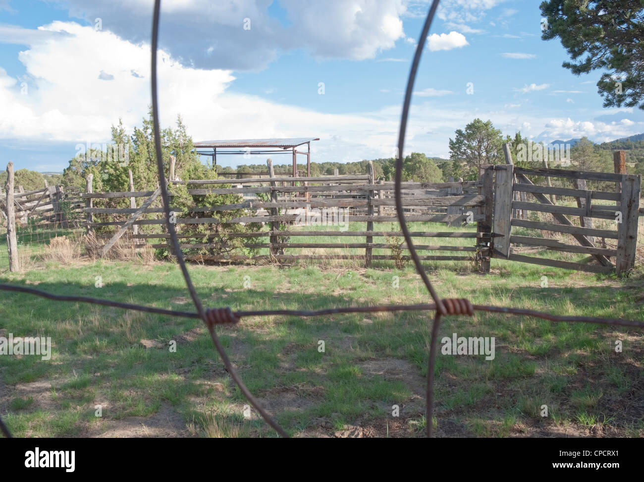 Wooden fencing and barbed wire enclose a loading area for cattle. Stock Photo